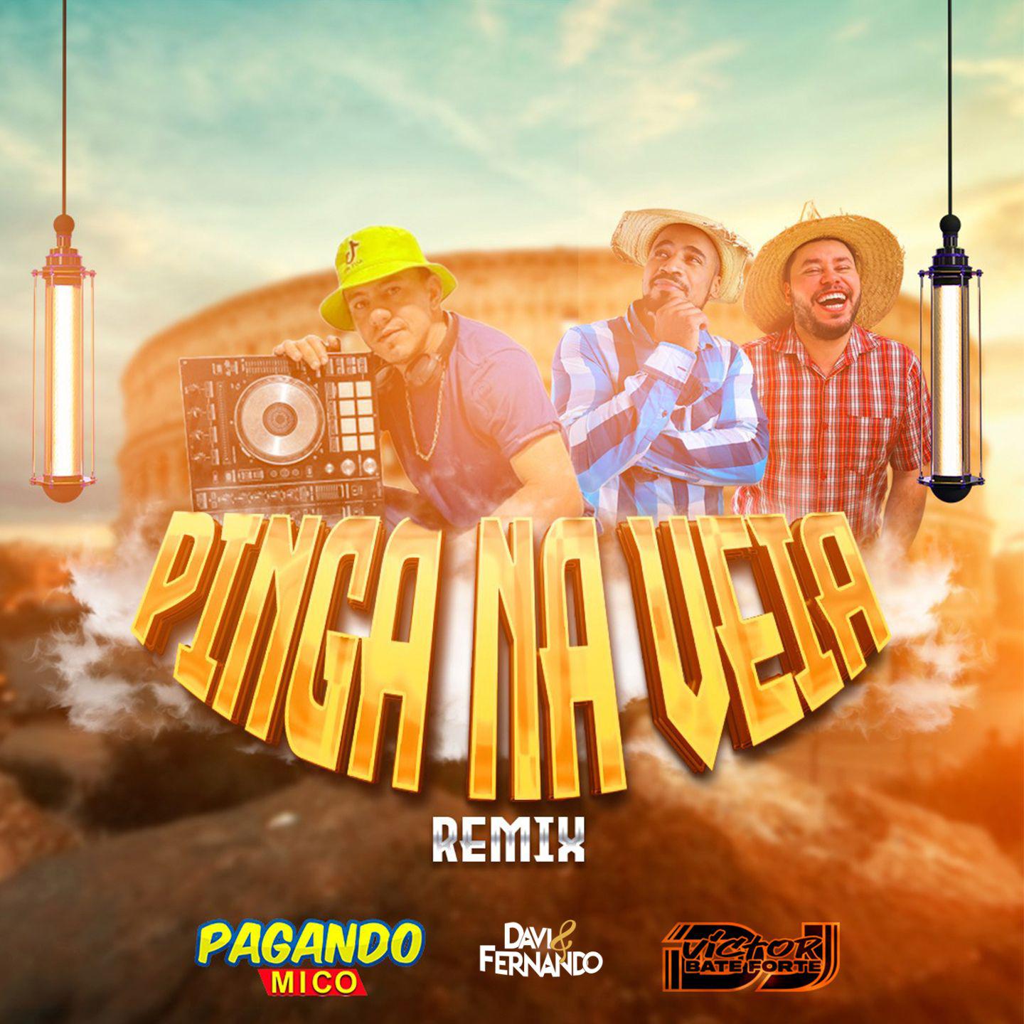 Постер альбома Pinga Na Veia
