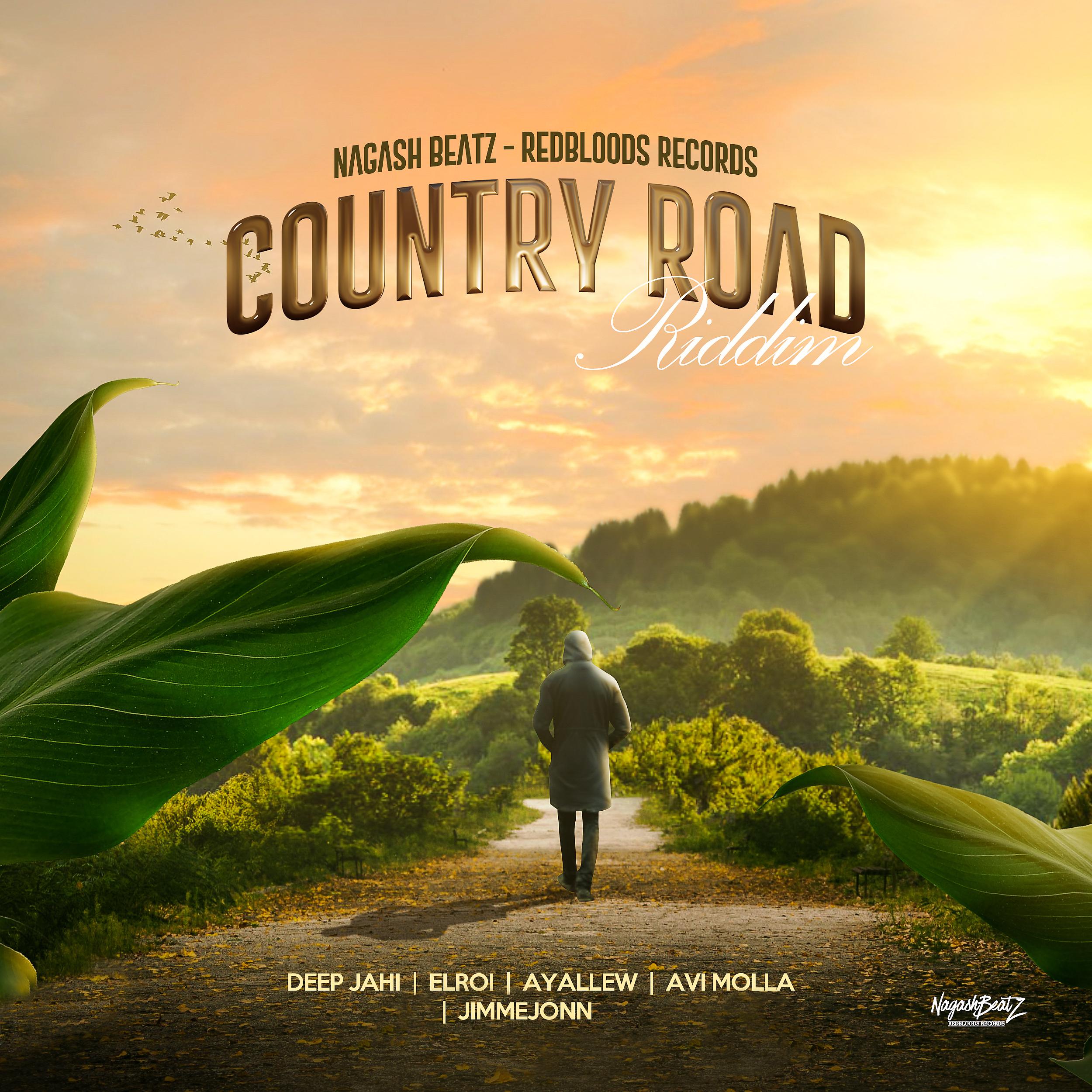 Постер альбома Country Road Riddim