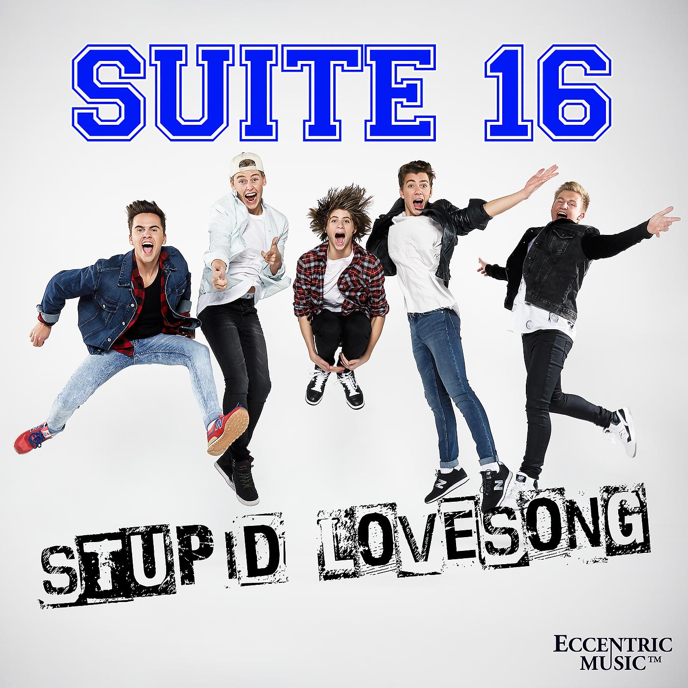 Постер альбома Stupid Lovesong
