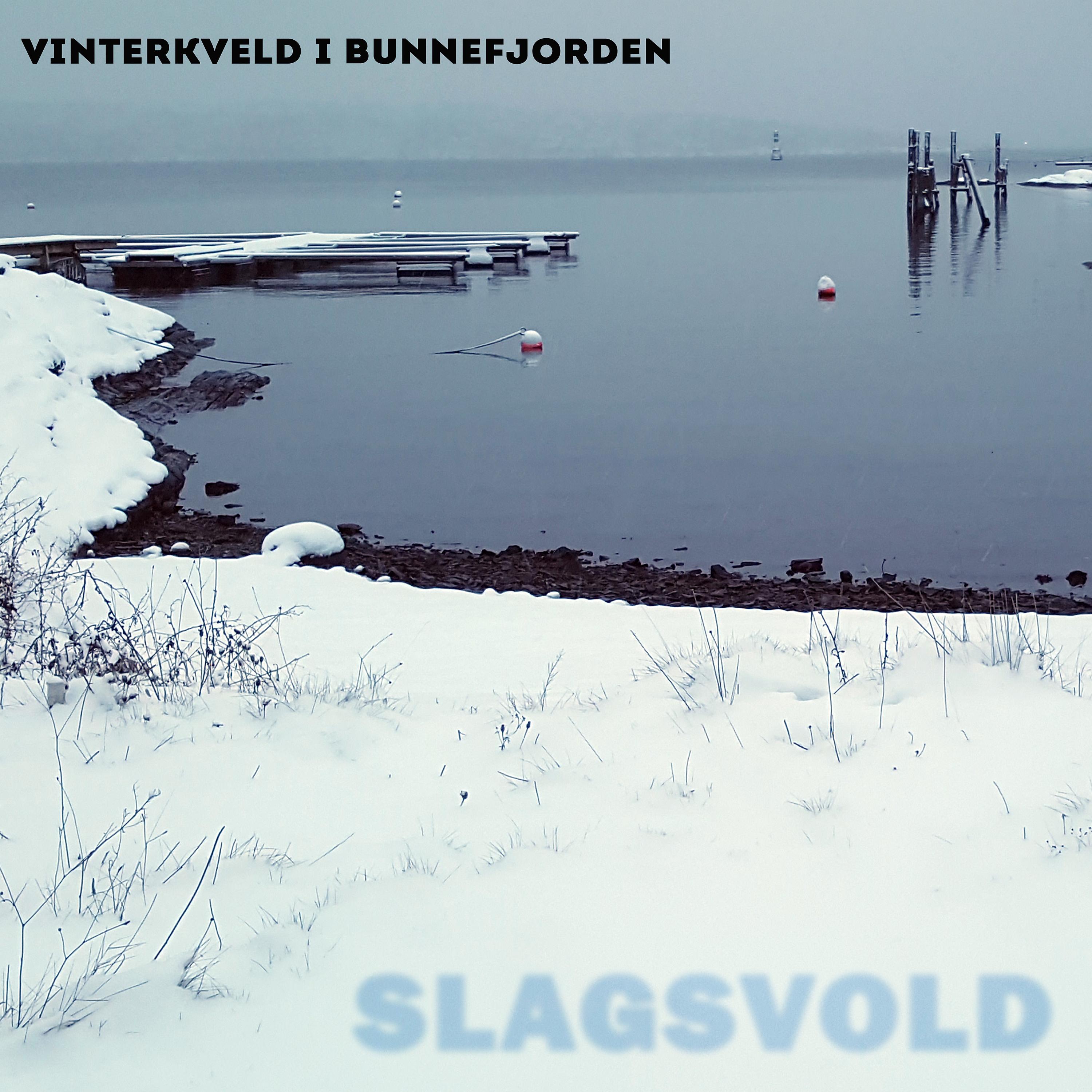 Постер альбома Vinterkveld I Bunnefjorden