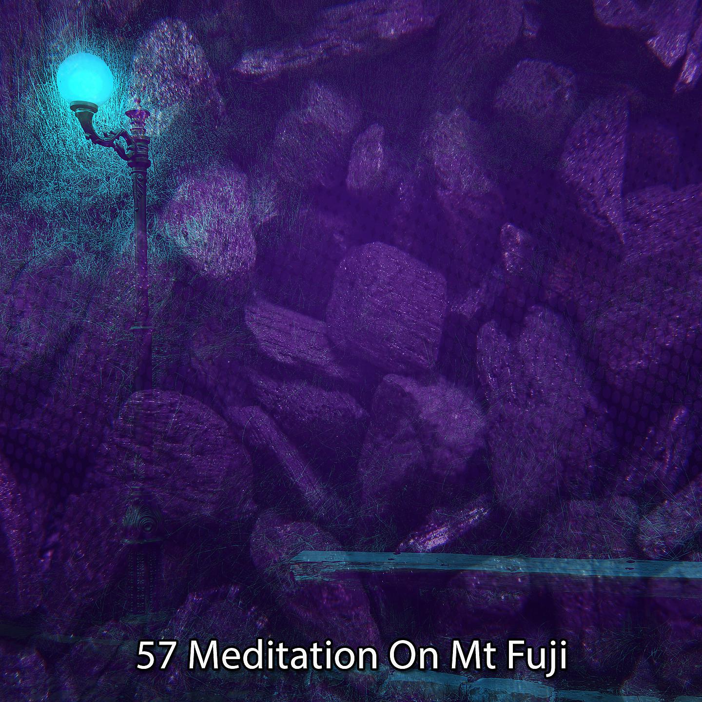 Постер альбома 57 Медитация на горе Фудзи