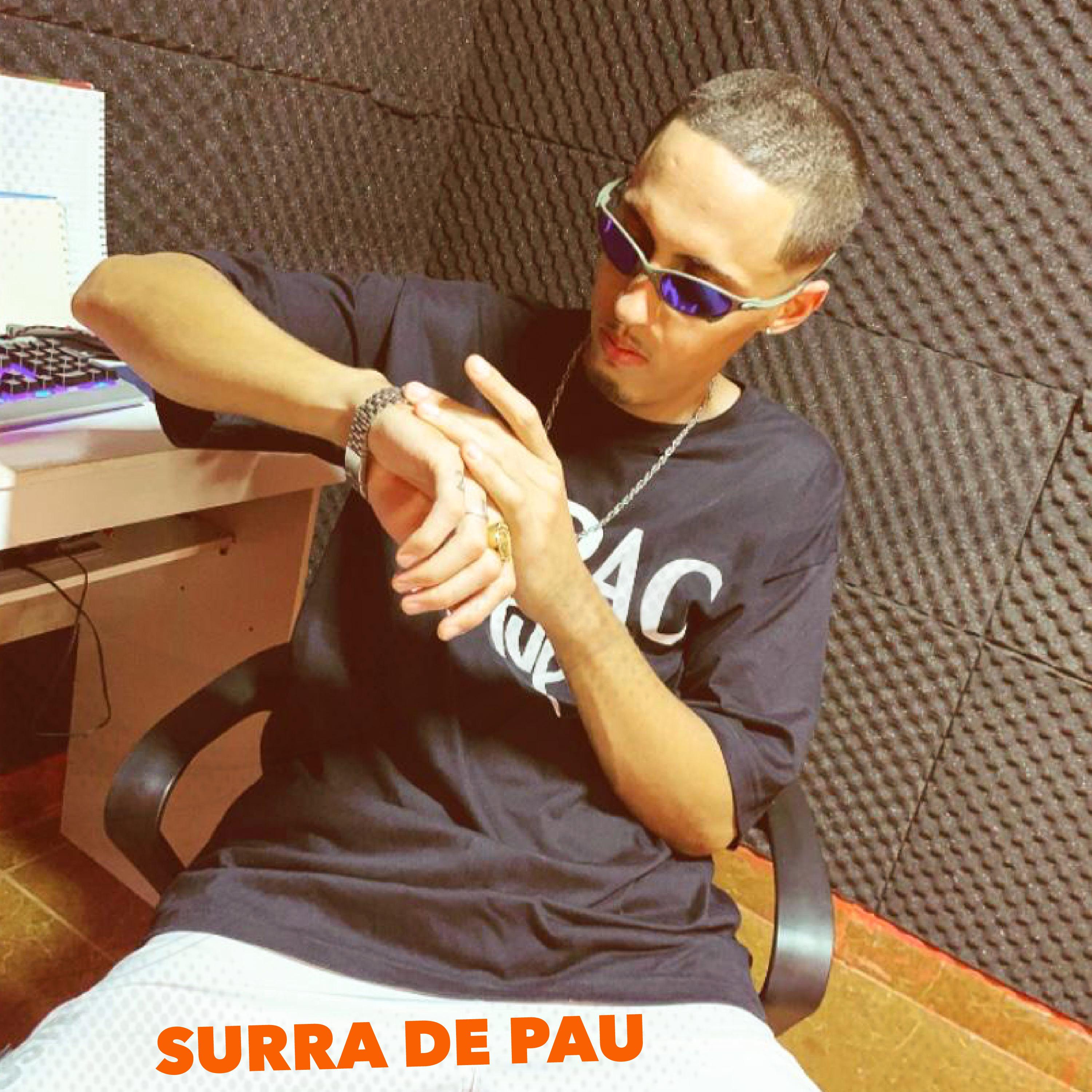 Постер альбома Surra de Pau