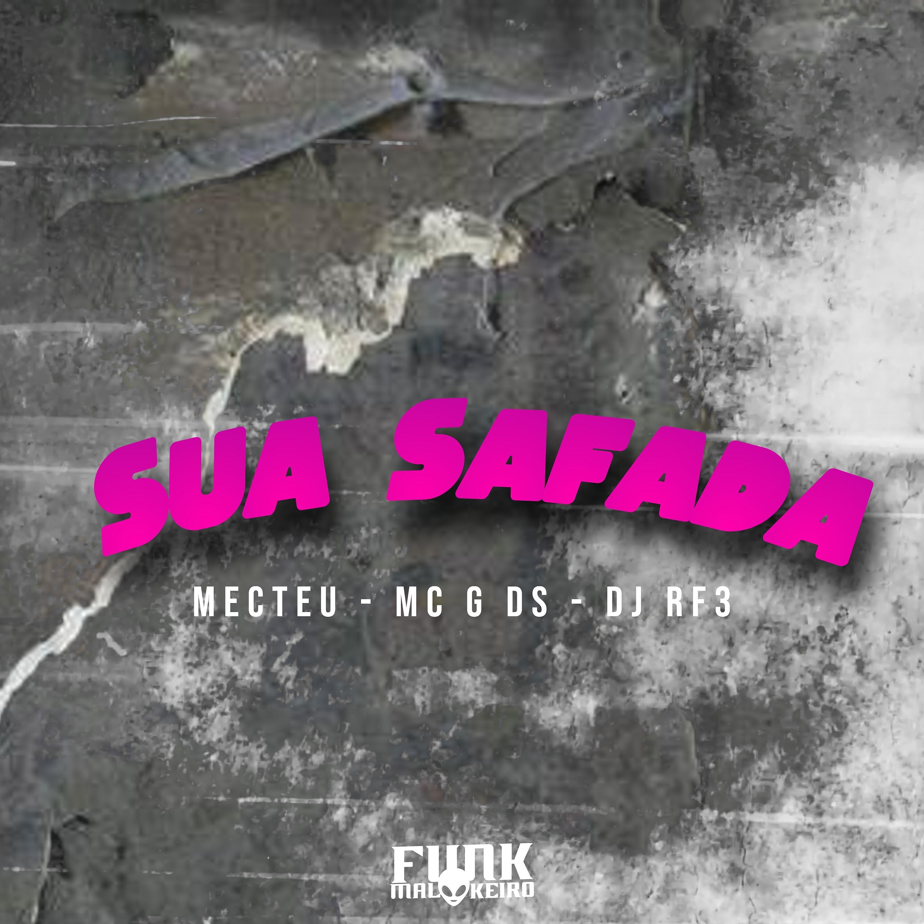 Постер альбома Sua Safada