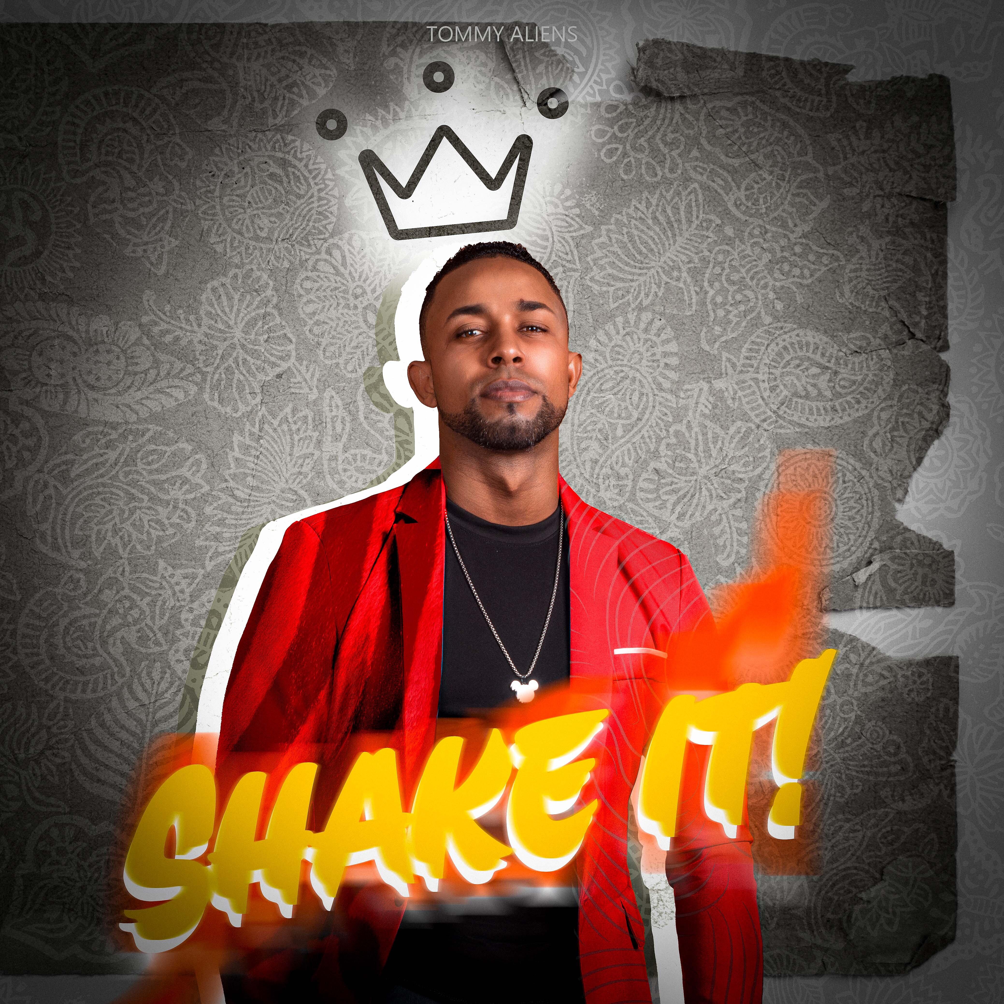 Постер альбома Shake It!