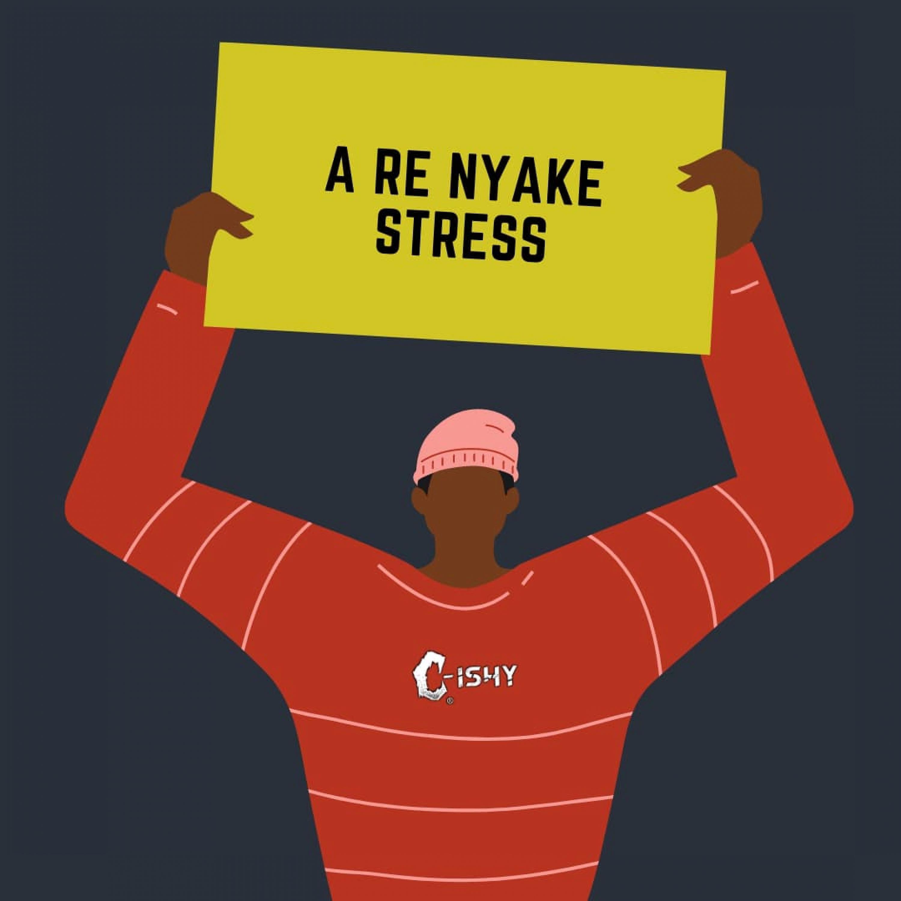 Постер альбома A Re Nyake Stress