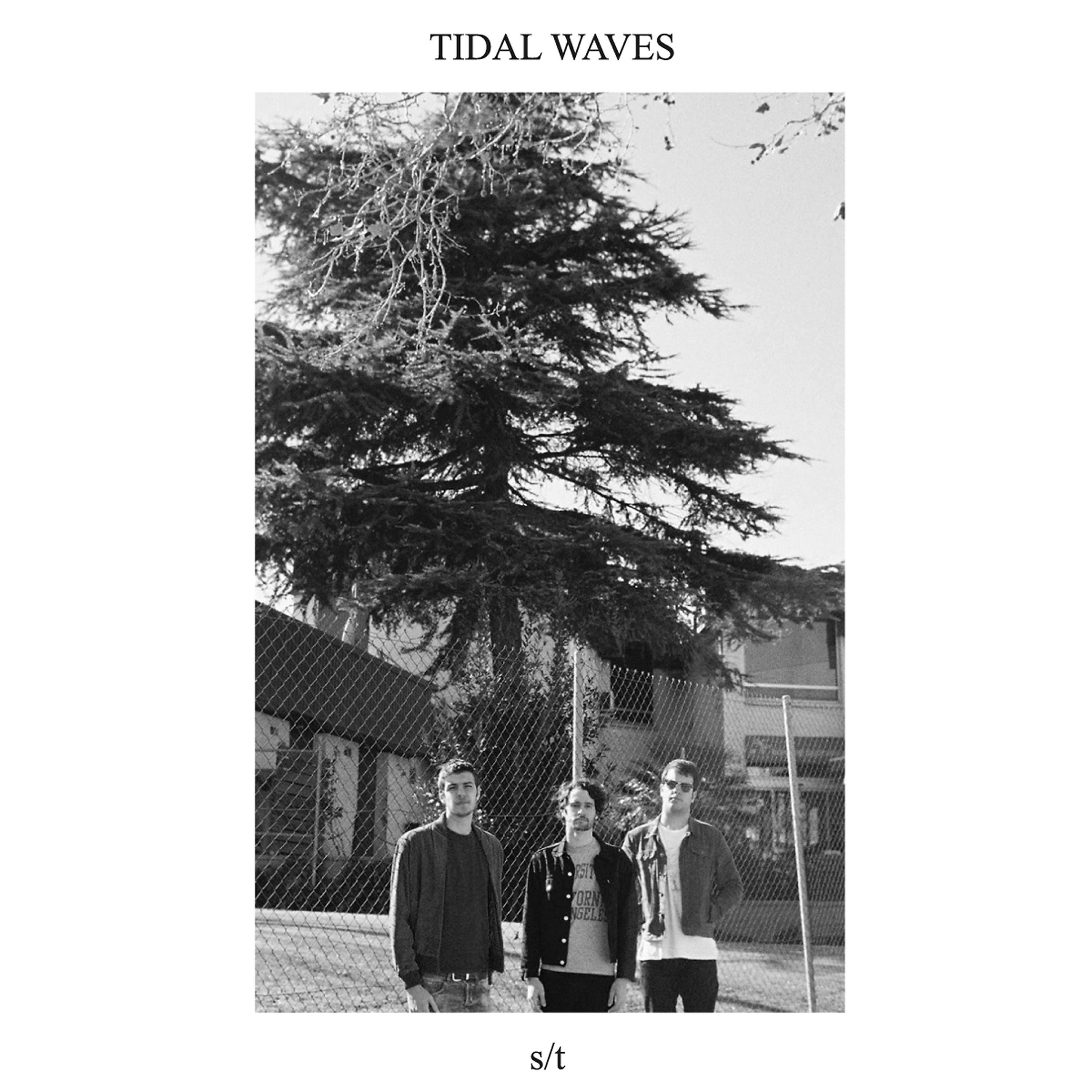 Постер альбома Tidal Waves