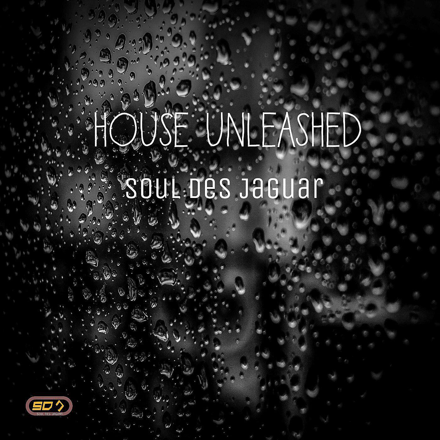 Постер альбома House Unleashed
