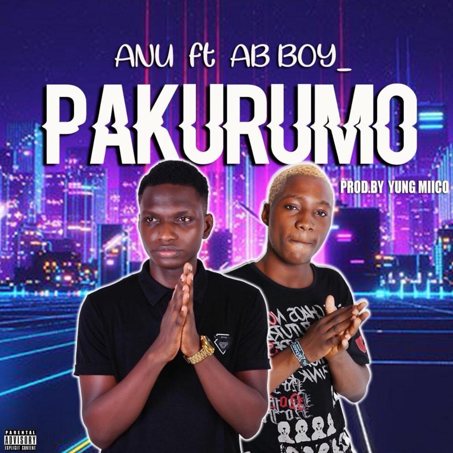 Постер альбома Pakurumo