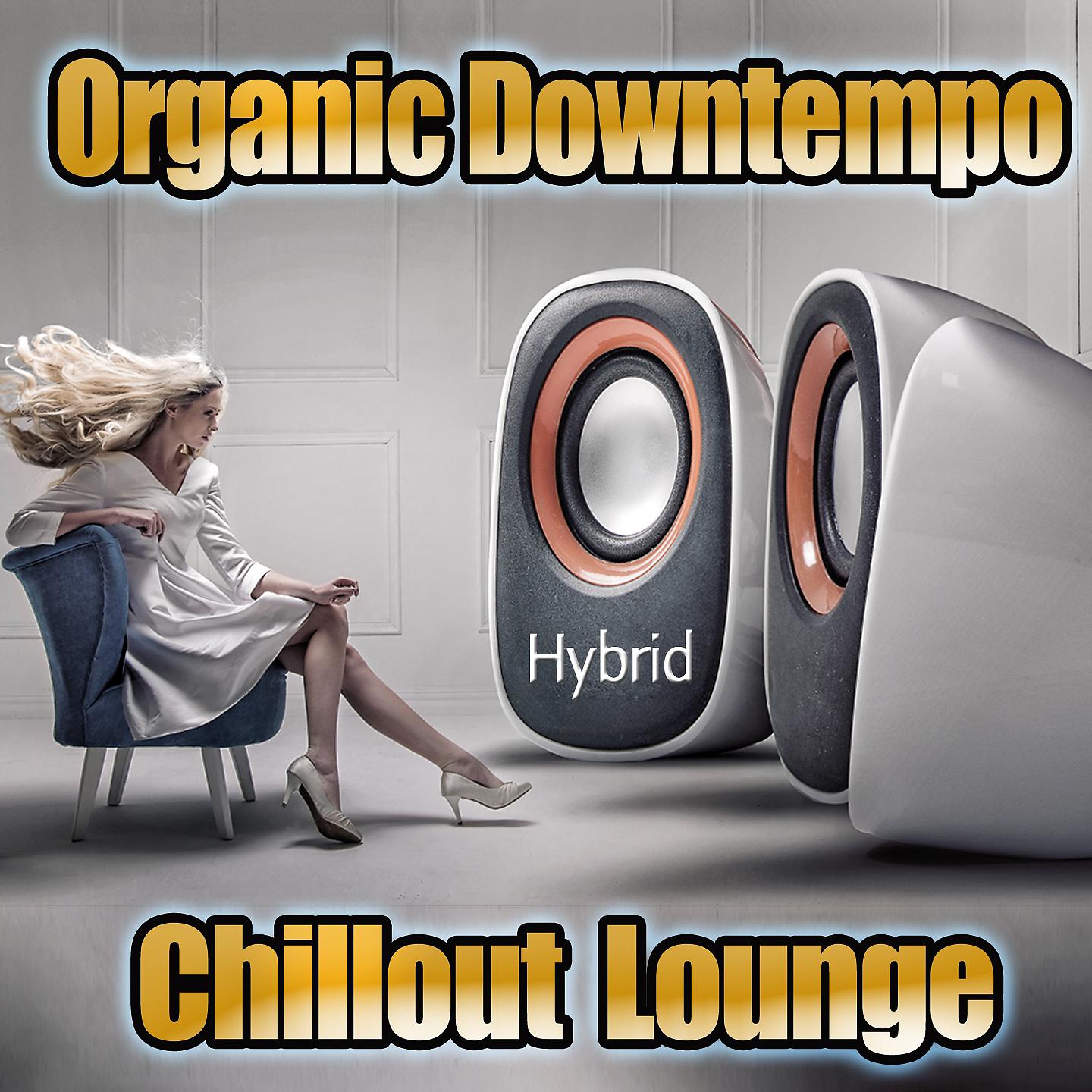 Постер альбома Hybrid Organic Downtempo Chillout Lounge