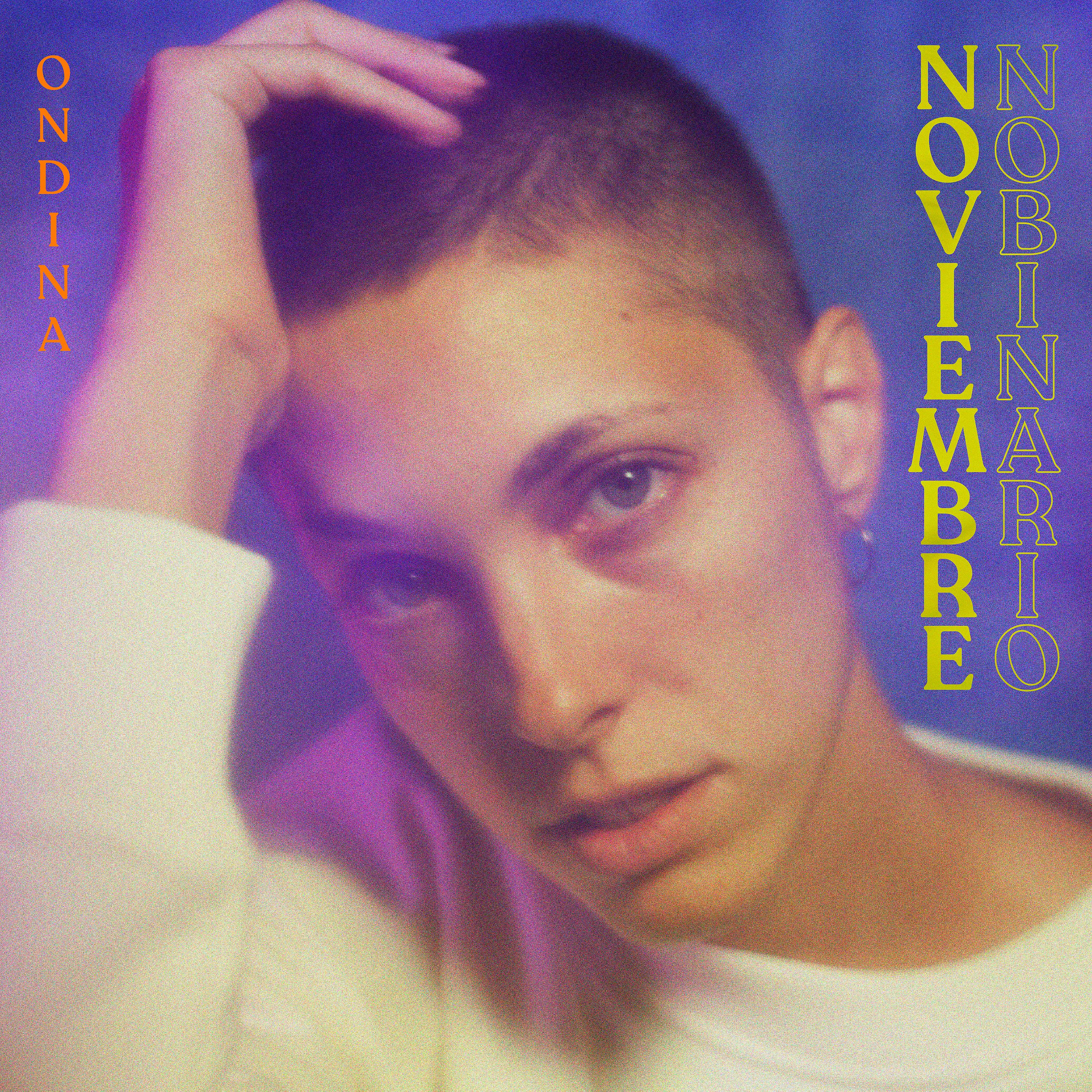 Постер альбома Noviembre No Binario