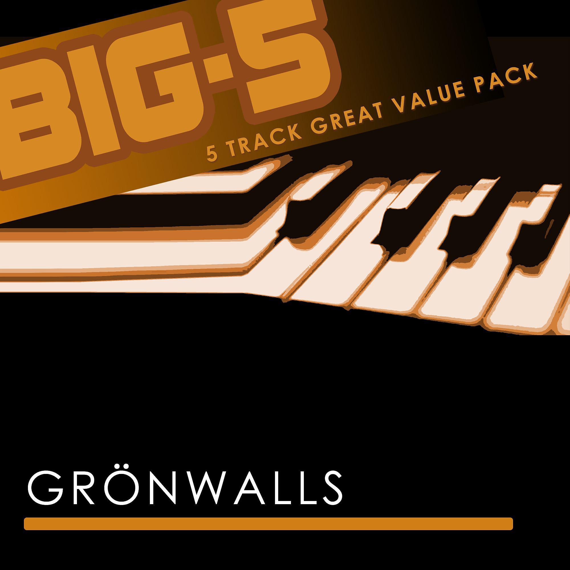 Постер альбома Big-5 : Grönwalls