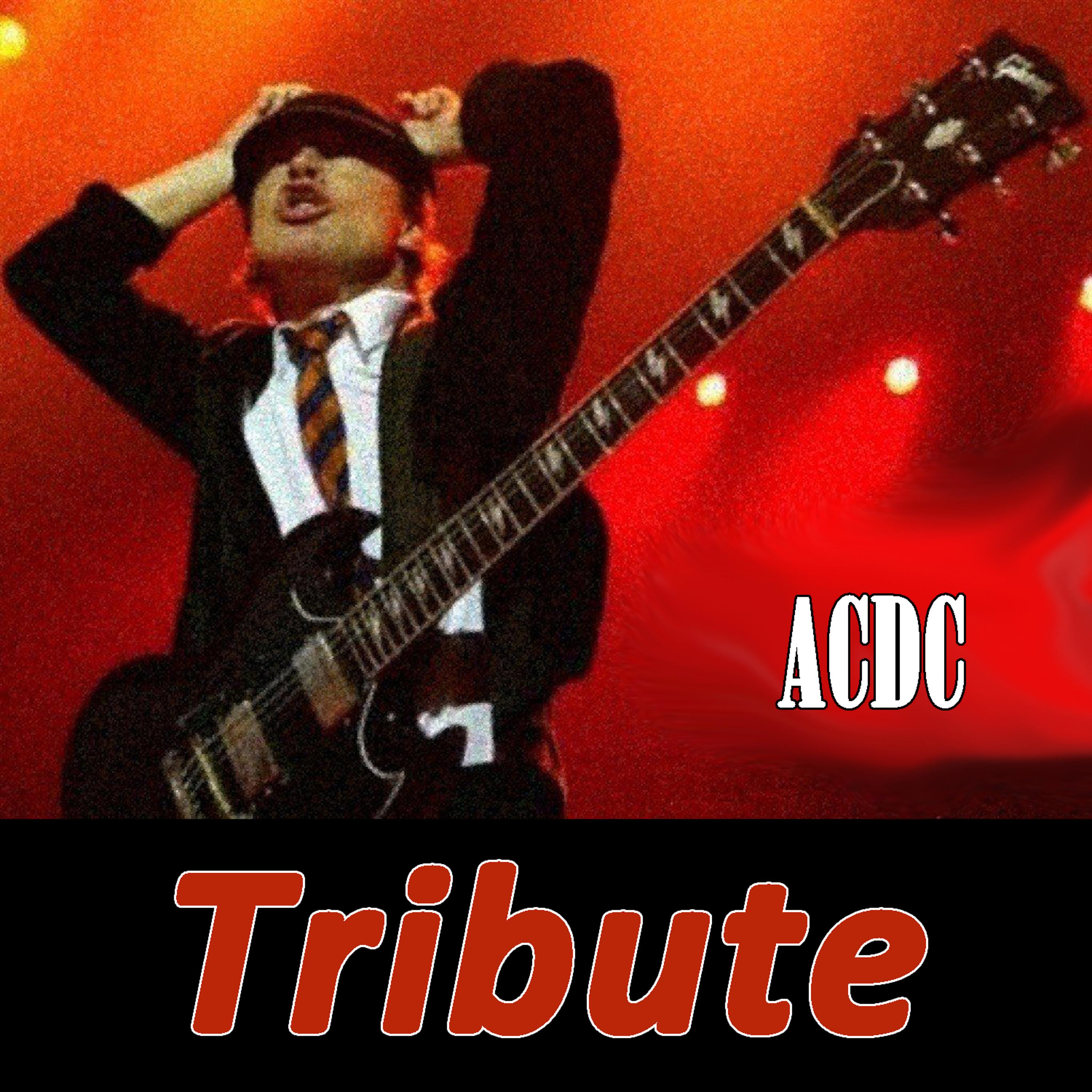 Постер альбома Highway To Hell: Tribute To AC/DC