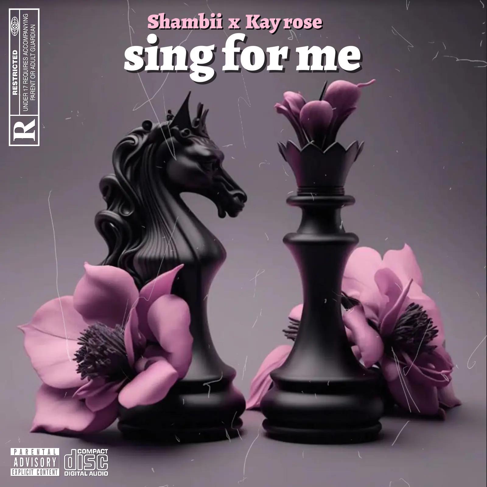 Постер альбома Sing for me(woo remix) (feat. Kay rose)