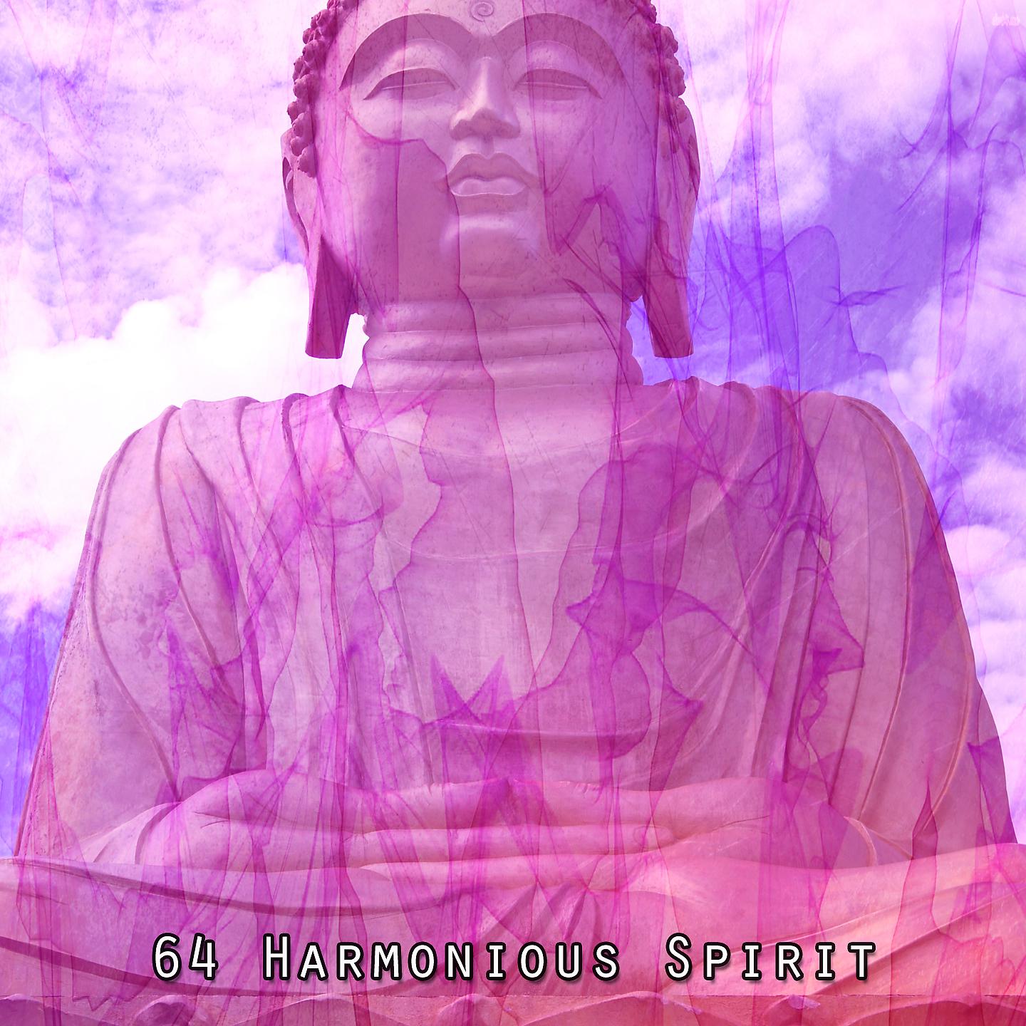 Постер альбома 64 Гармоничный Дух