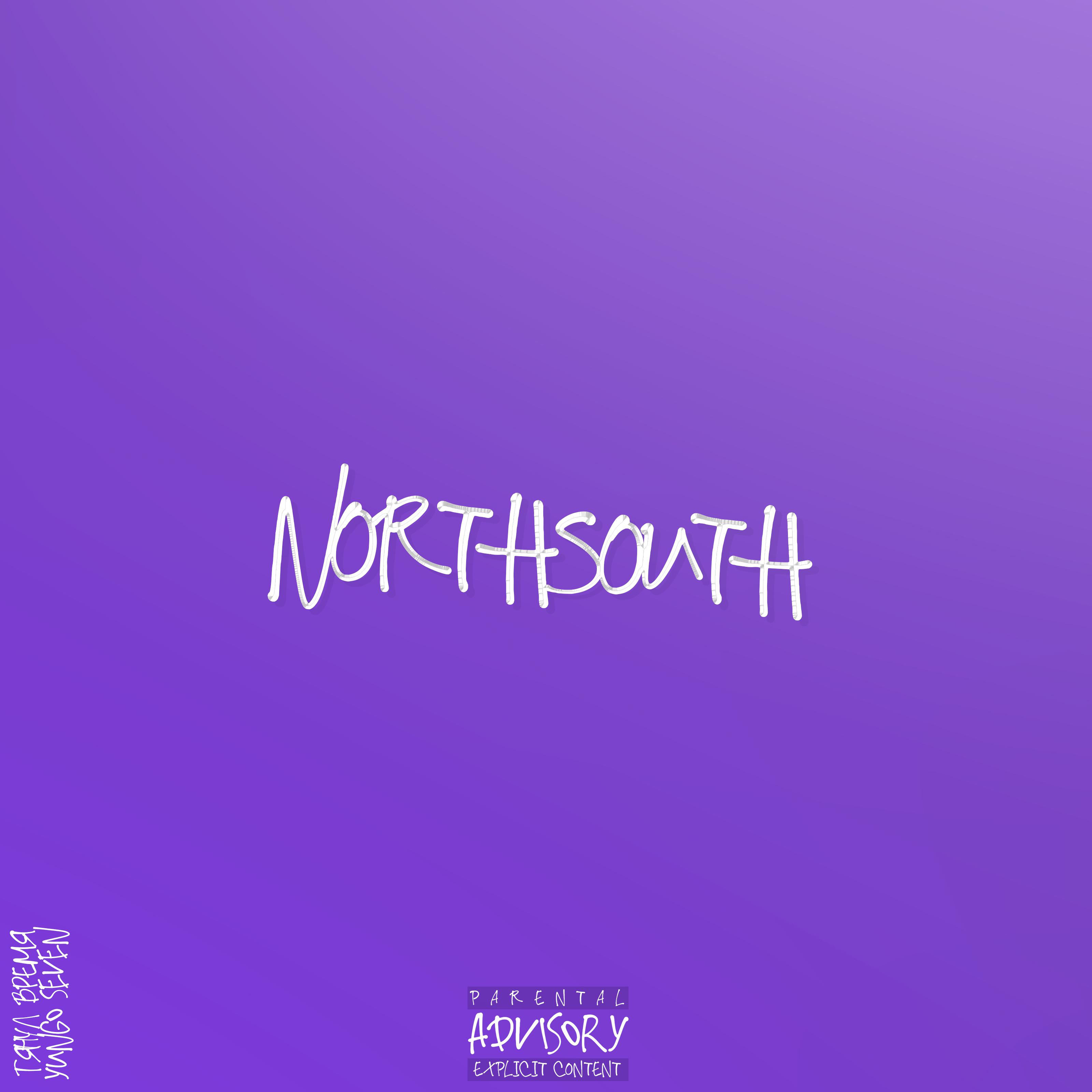 Постер альбома Northsouth