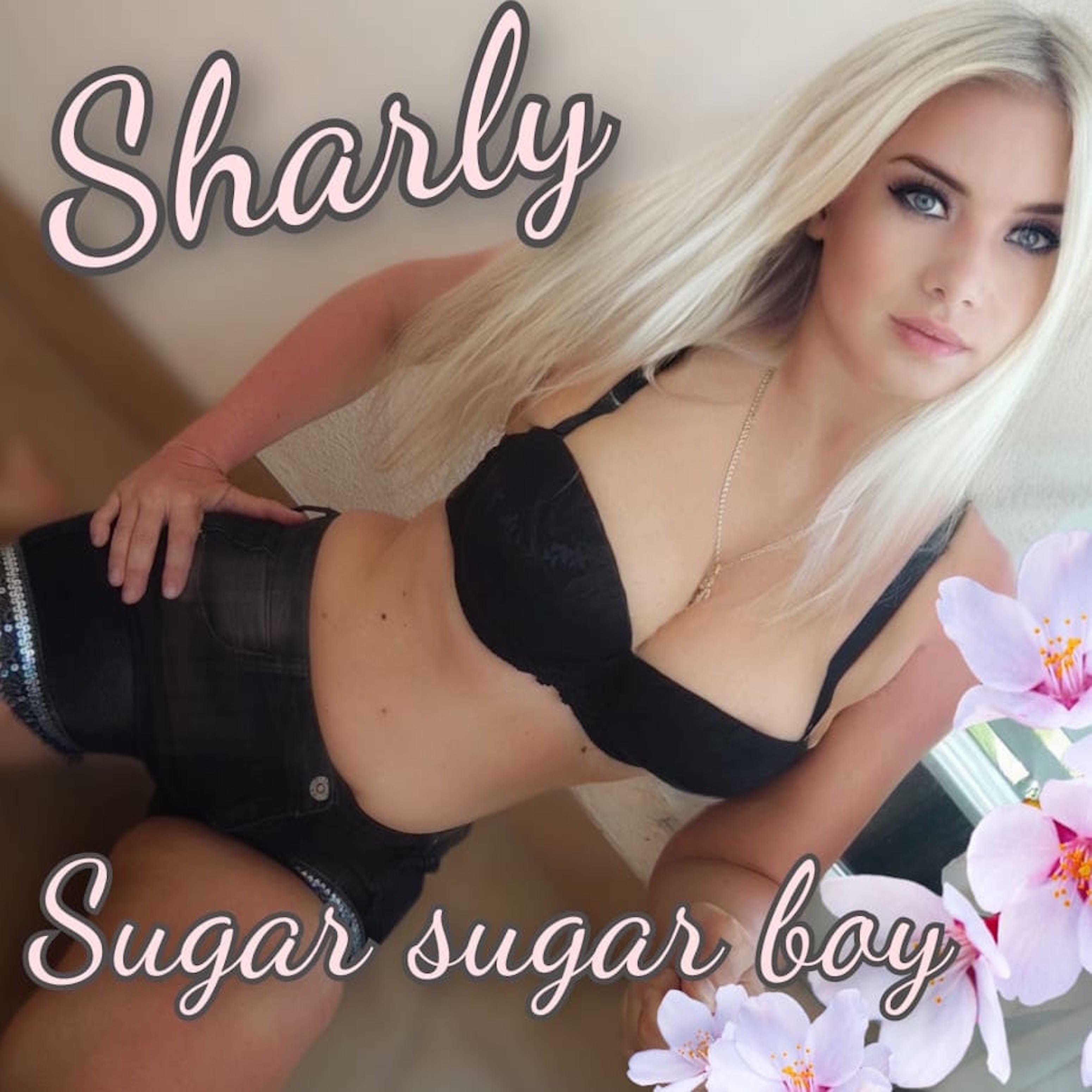 Постер альбома Sugar Sugar Boy