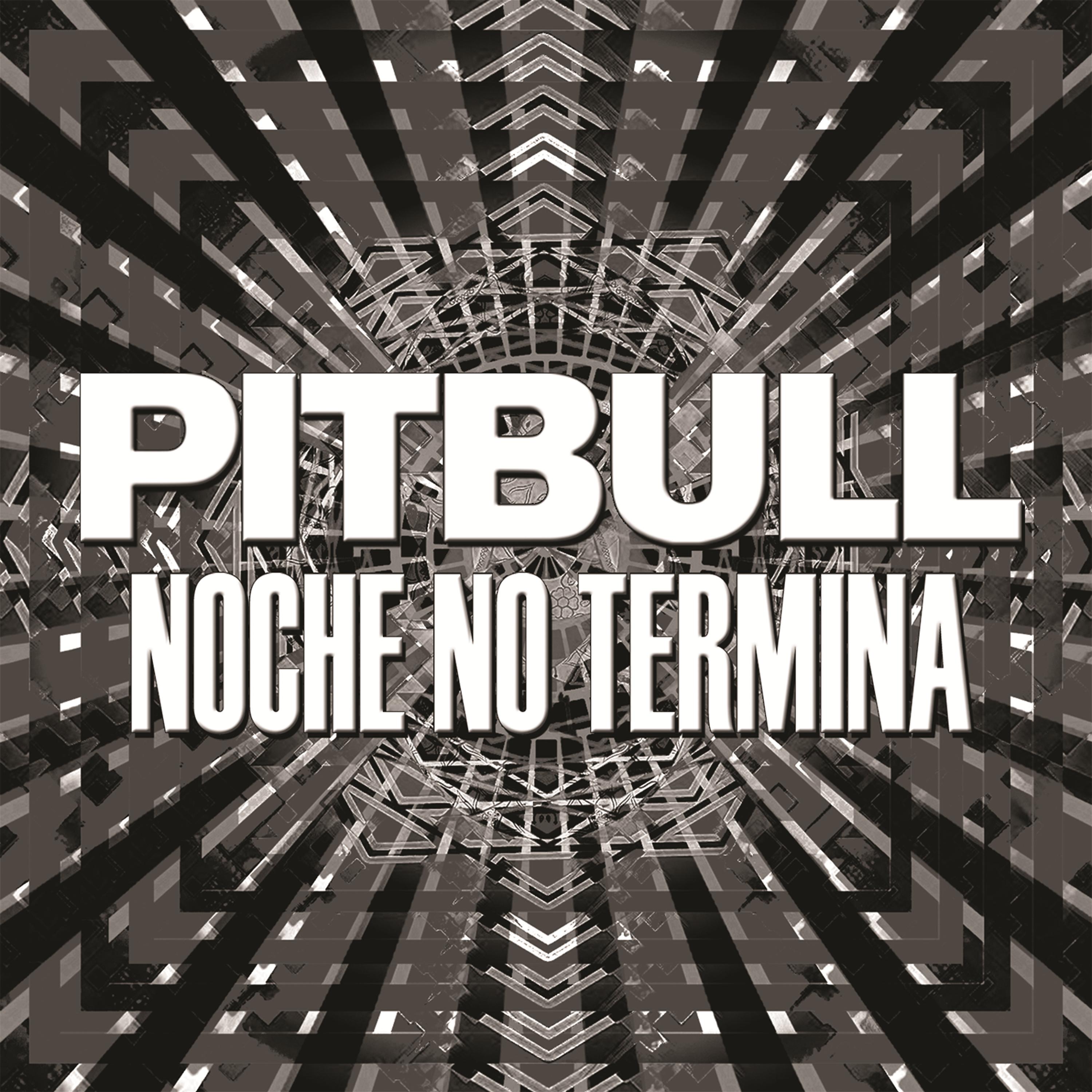 Постер альбома Noche No Termina