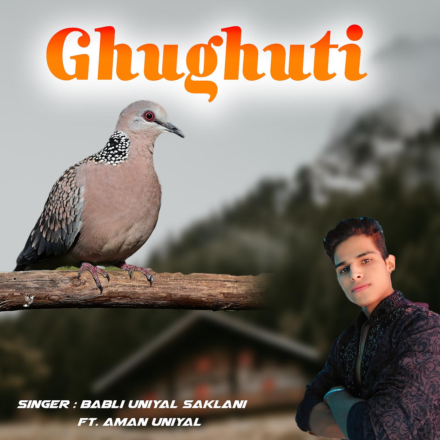 Постер альбома Ghughuti