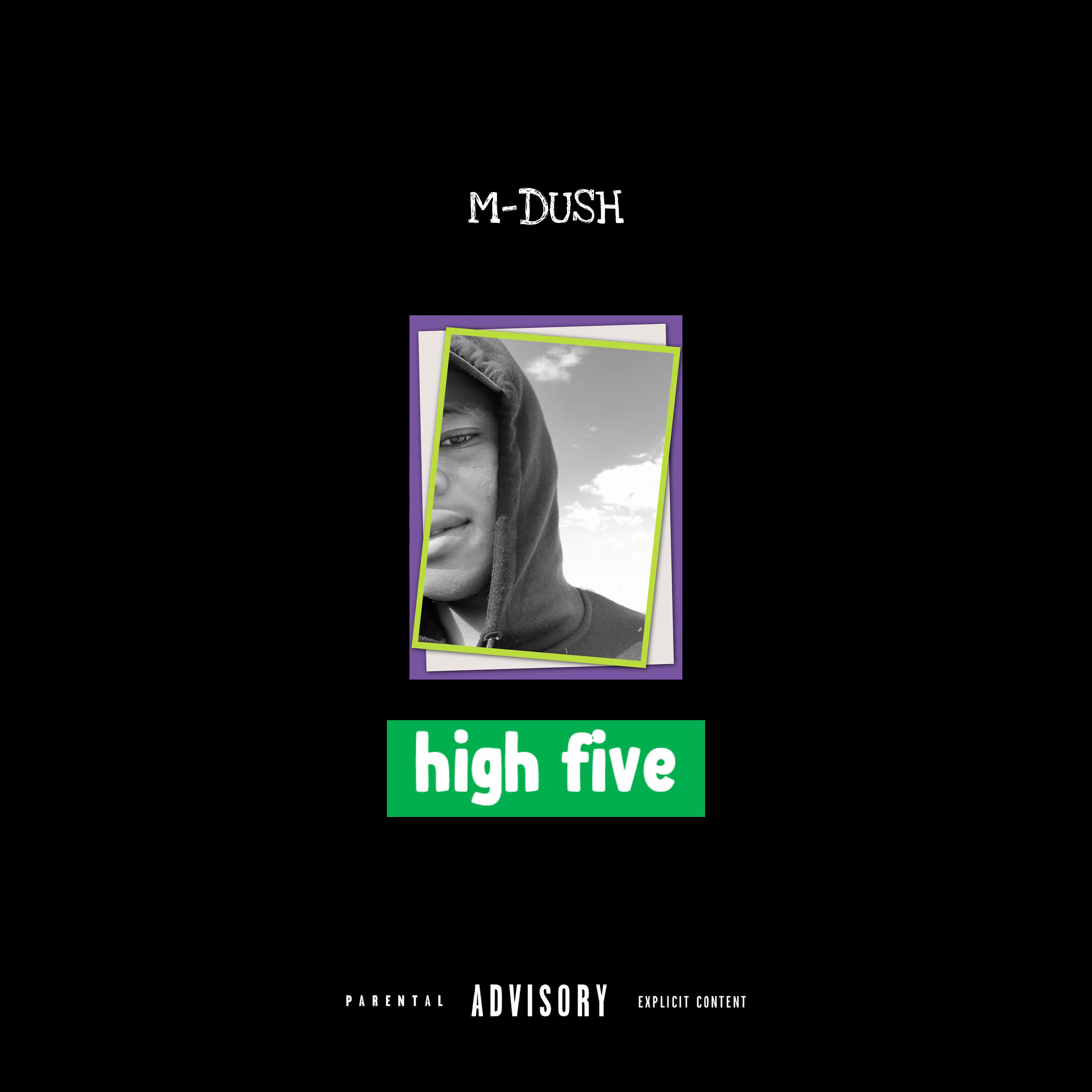 Постер альбома High V