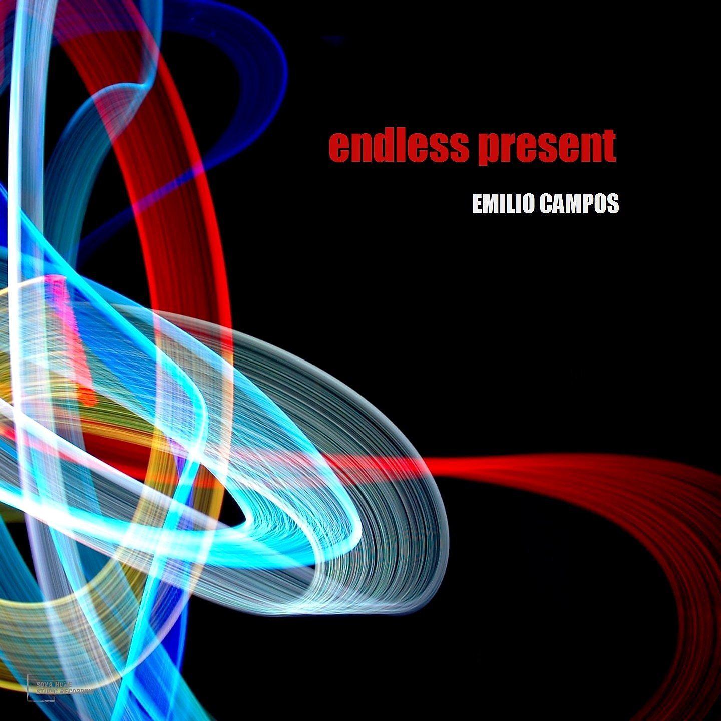 Постер альбома Endless Present
