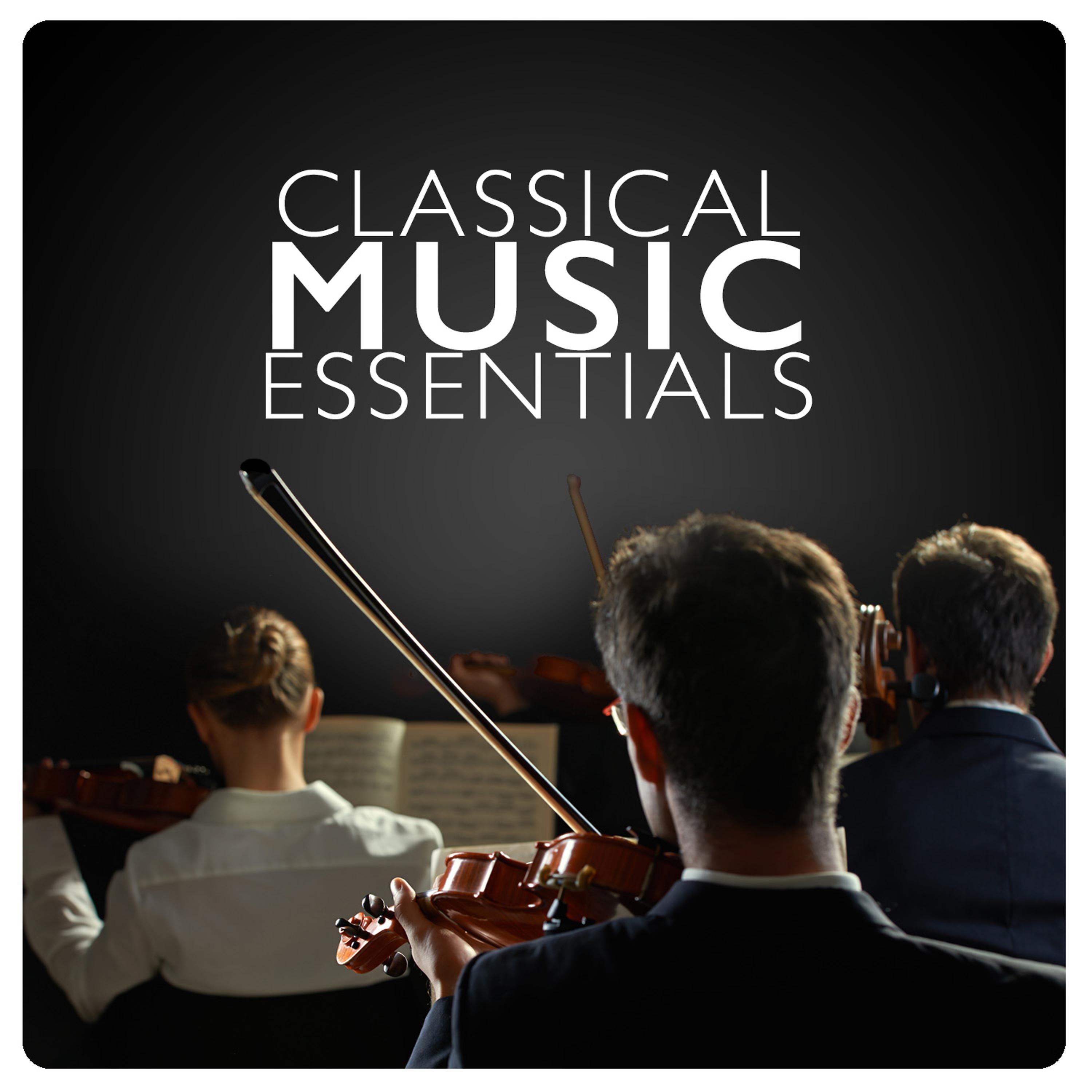 Постер альбома Classical Music Essentials