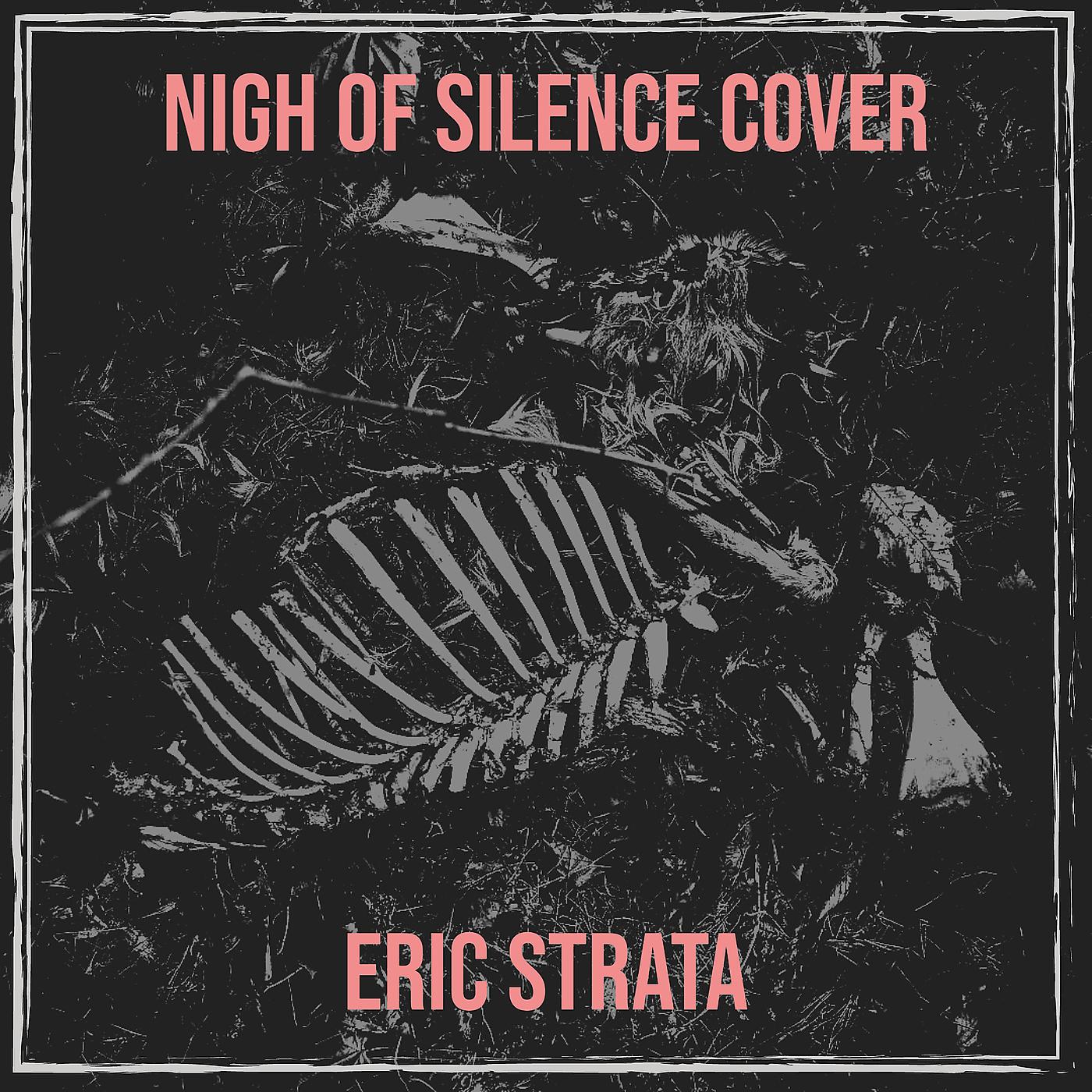 Постер альбома Nigh of Silence Cover