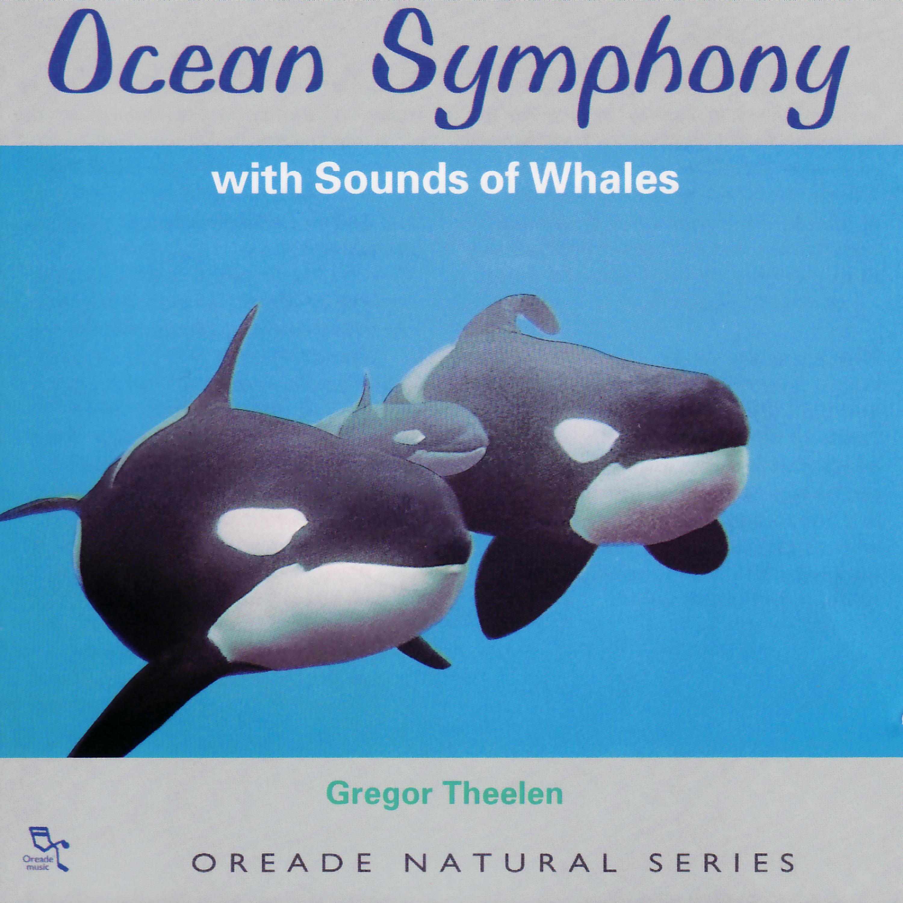 Постер альбома Ocean Symphony