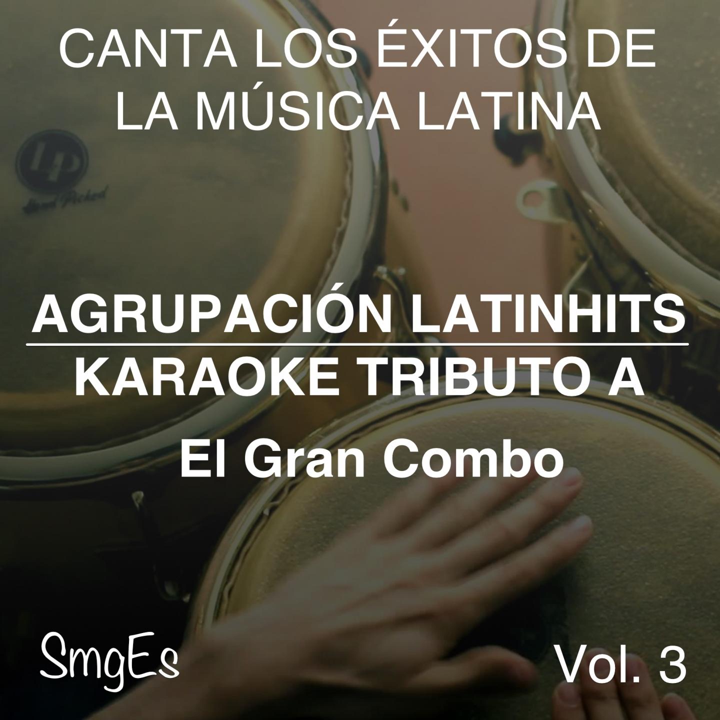 Постер альбома Instrumental Karaoke Series: El Gran Combo, Vol. 3