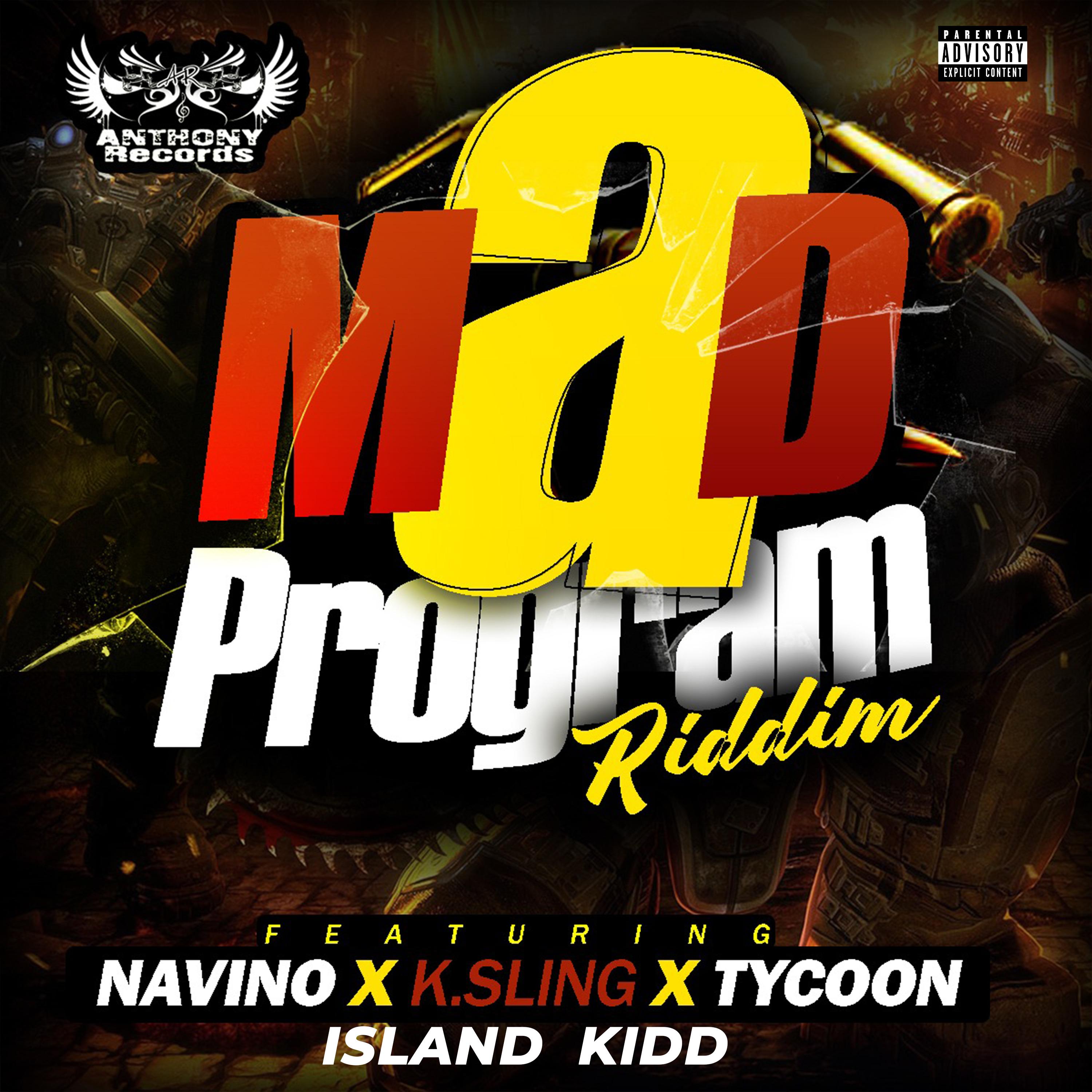 Постер альбома Mad Program Riddim