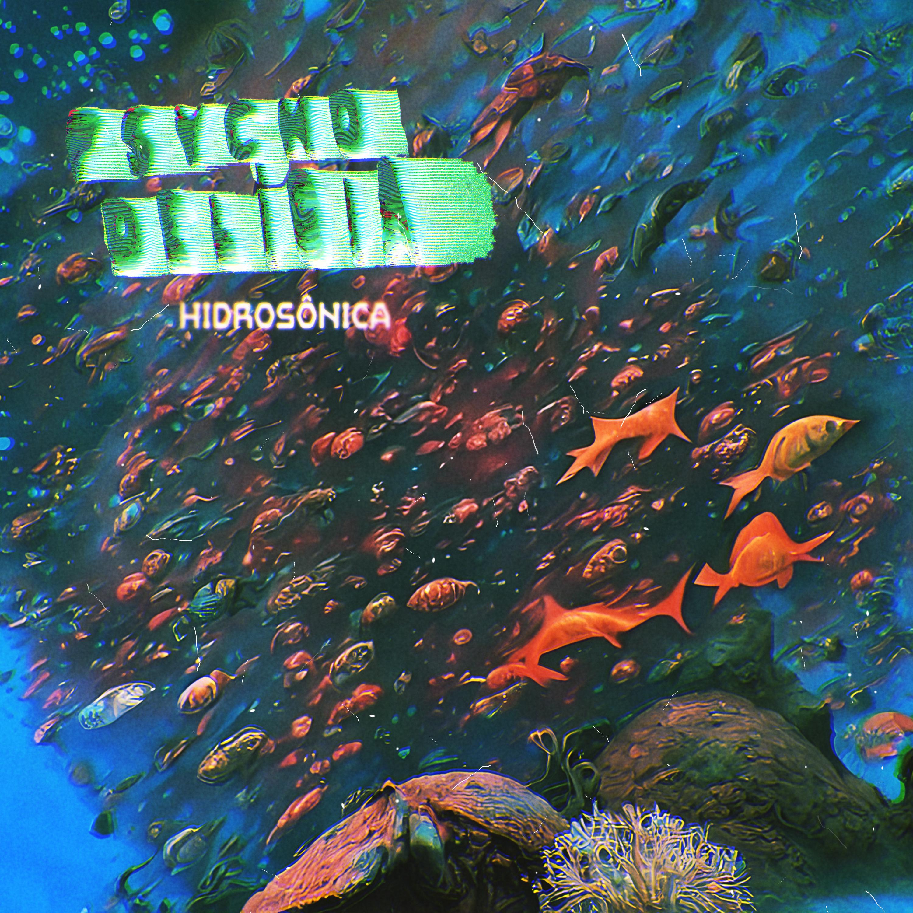 Постер альбома Hidrosônica