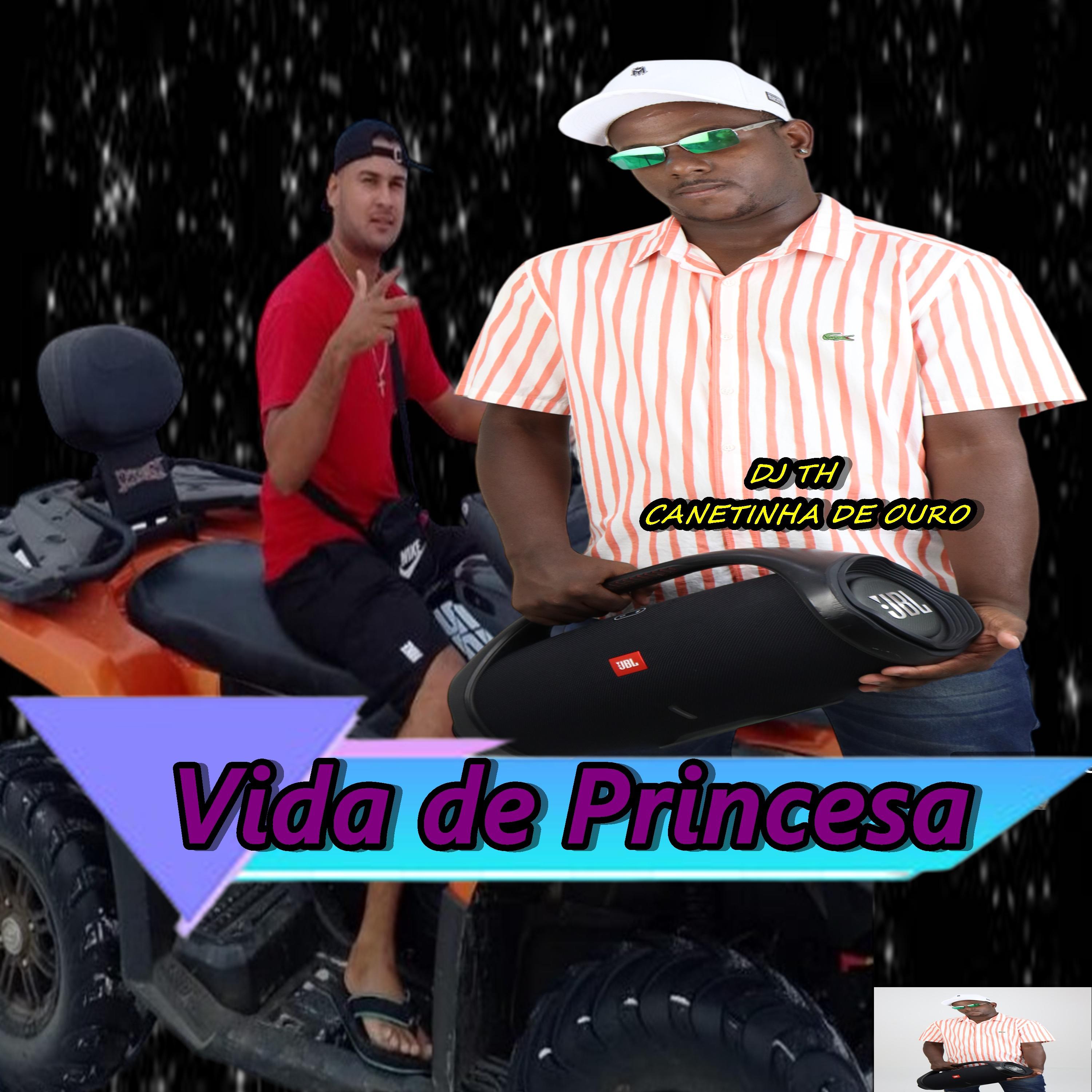 Постер альбома Vida de Princesa