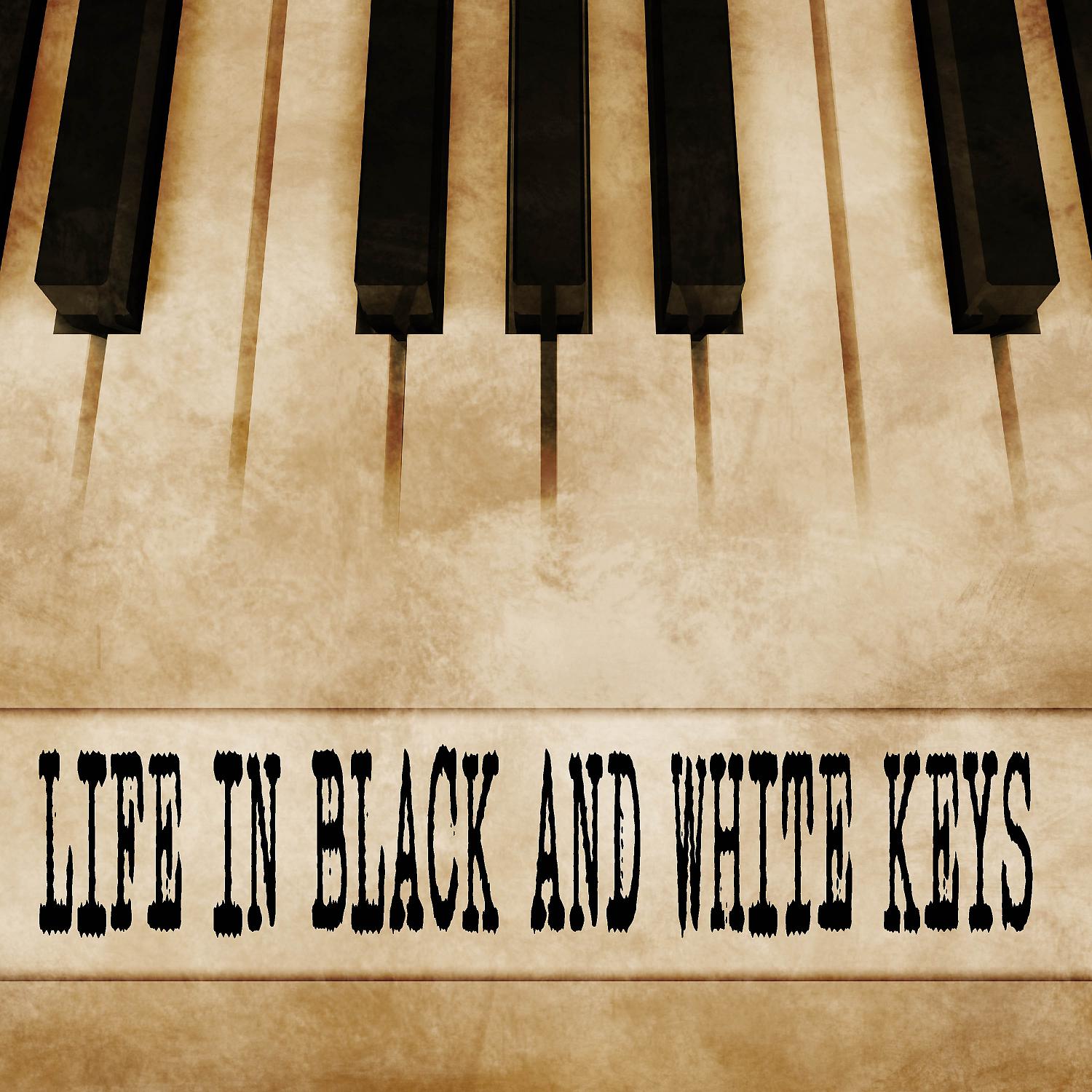 Постер альбома Life In Black and White Keys