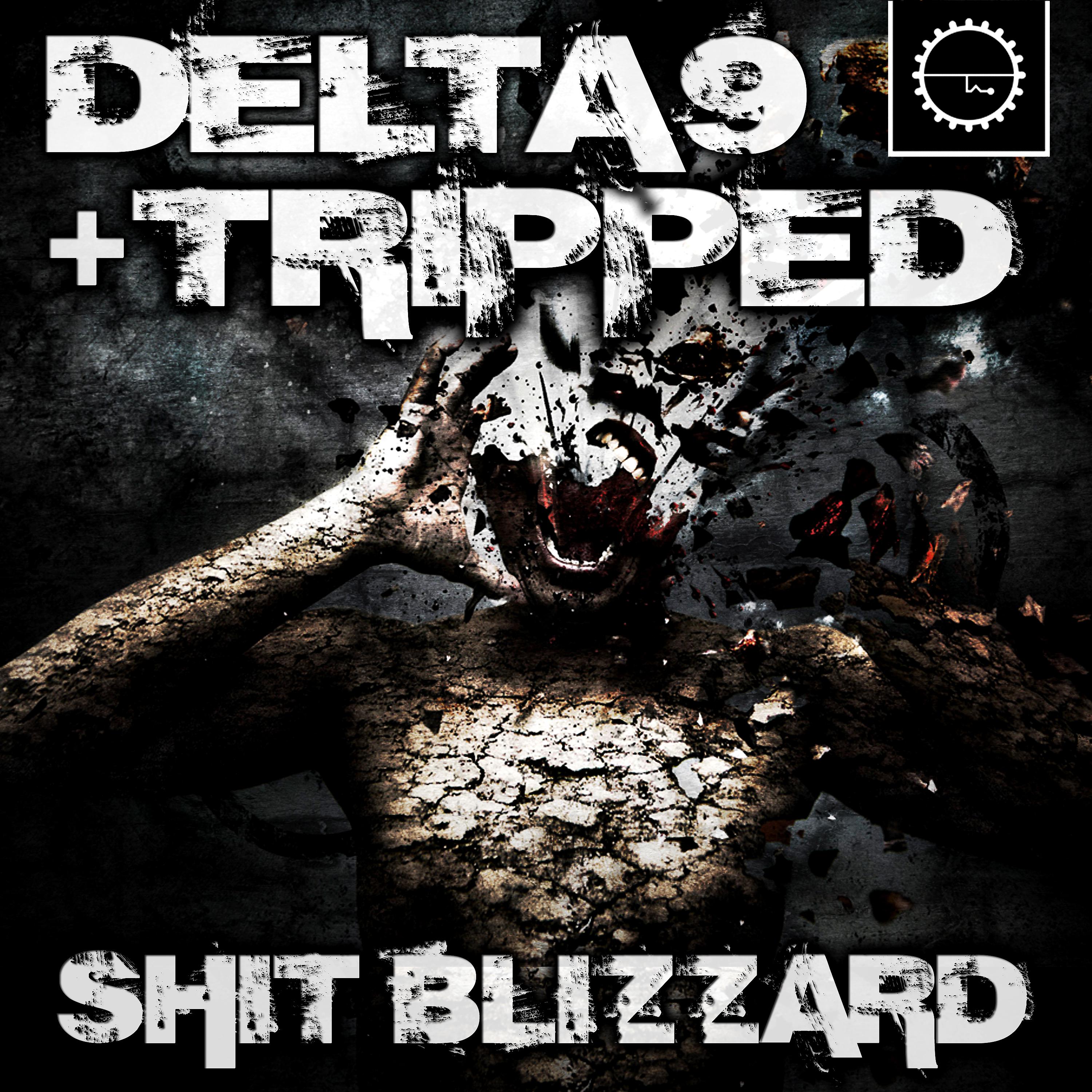 Постер альбома Shit Blizzard