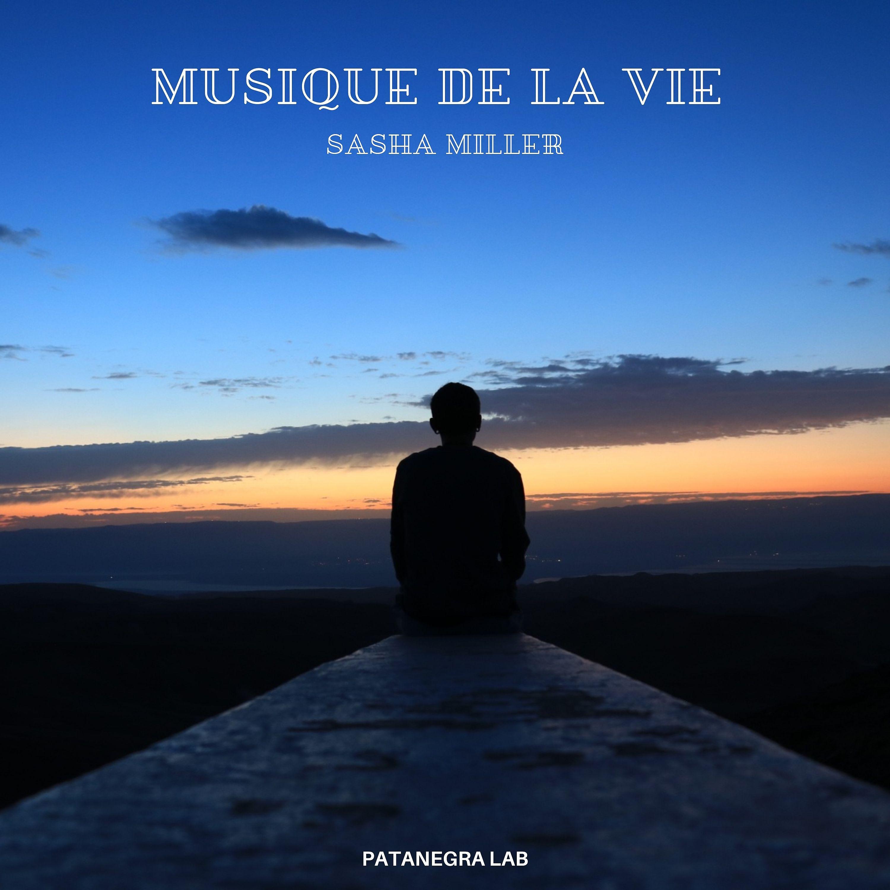 Постер альбома Musique De La Vie