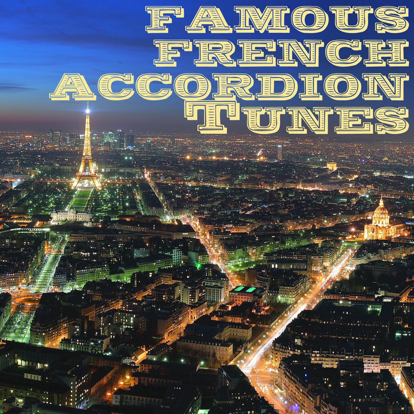 Постер альбома Famous french accordion tunes