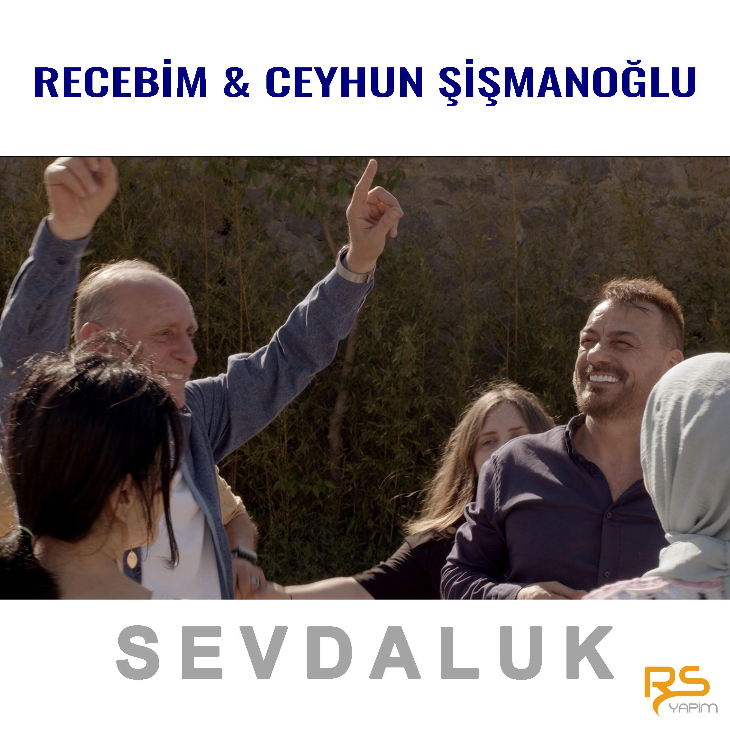 Постер альбома Sevdaluk
