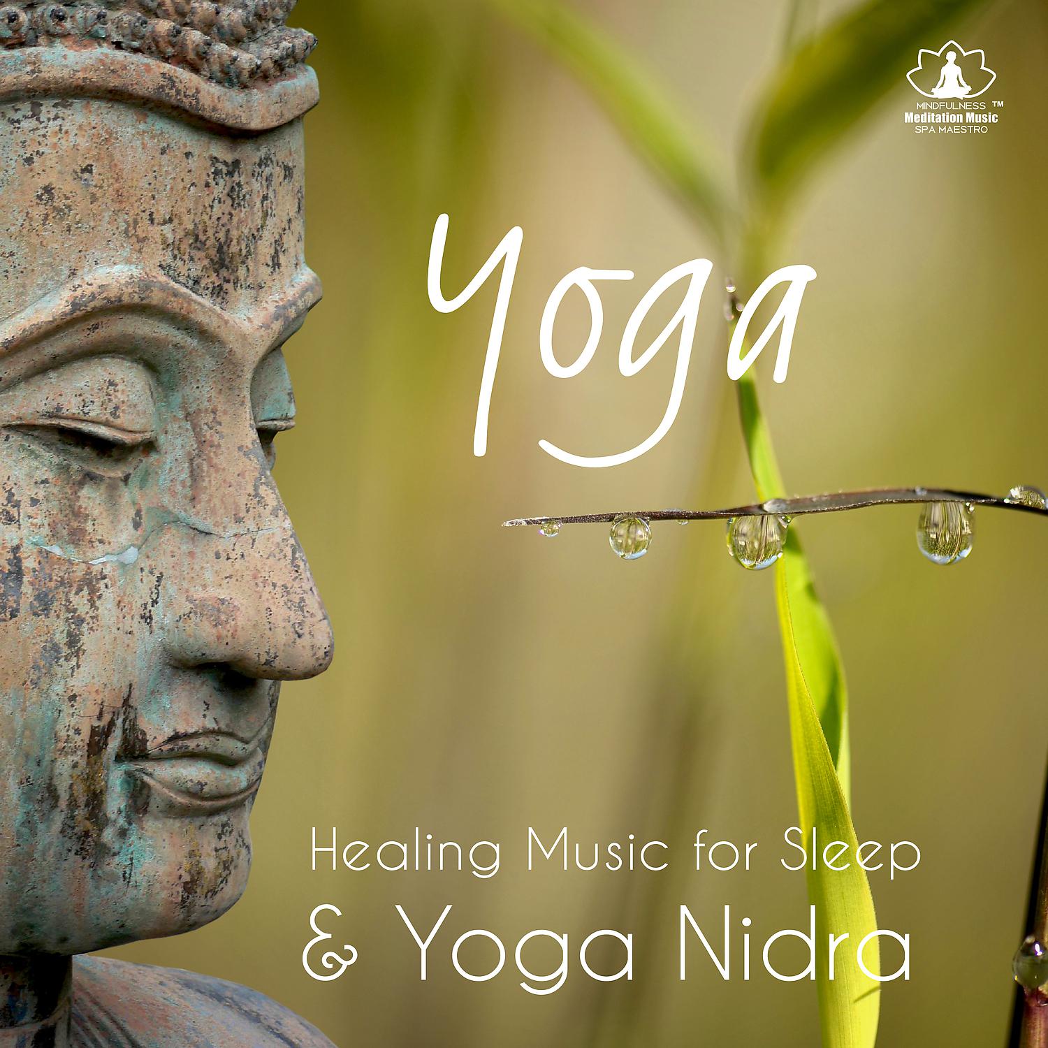 Постер альбома Yoga: Healing Music for Sleep & Yoga Nidra, Feeling of Rest, Savasana Relaxation