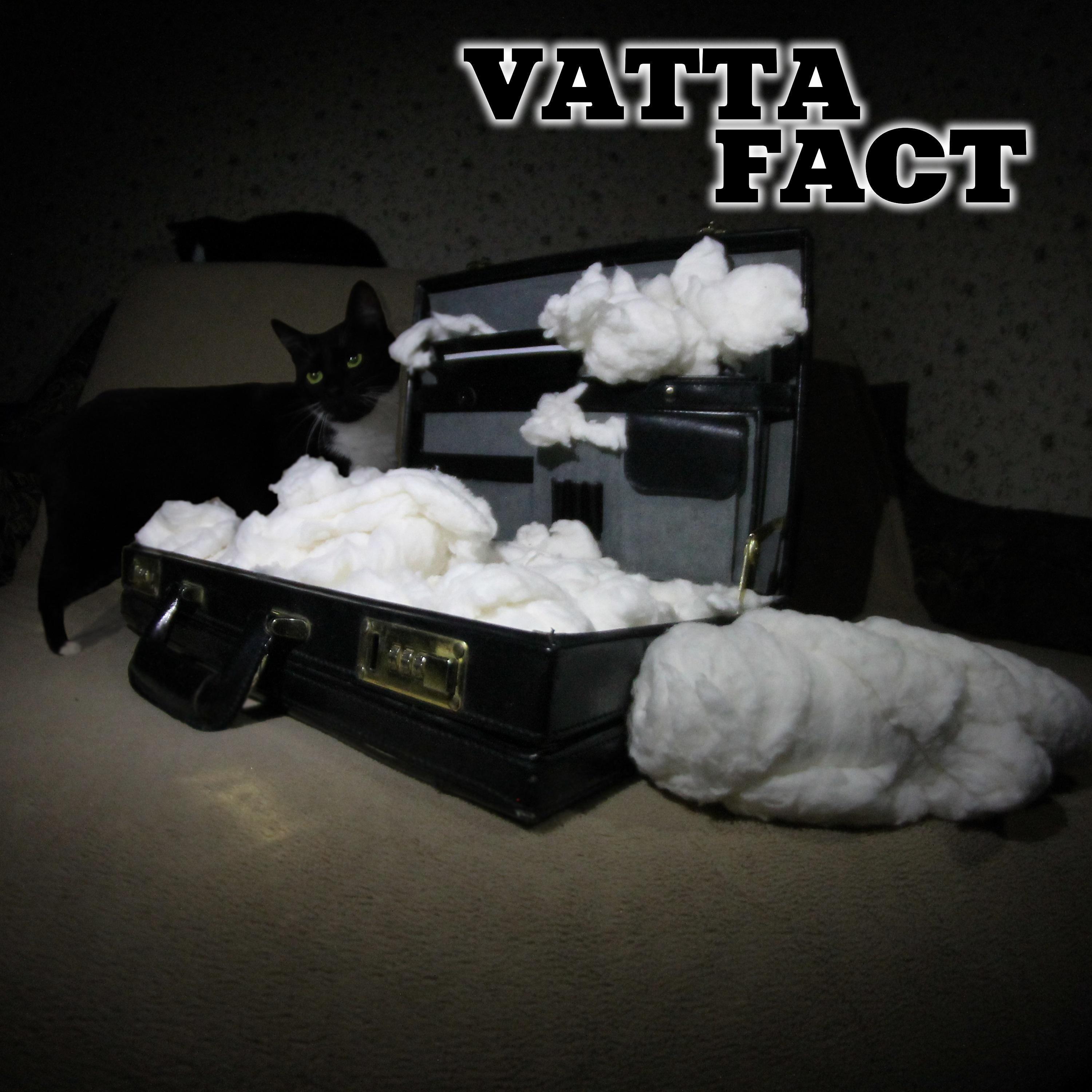 Постер альбома VattaFact