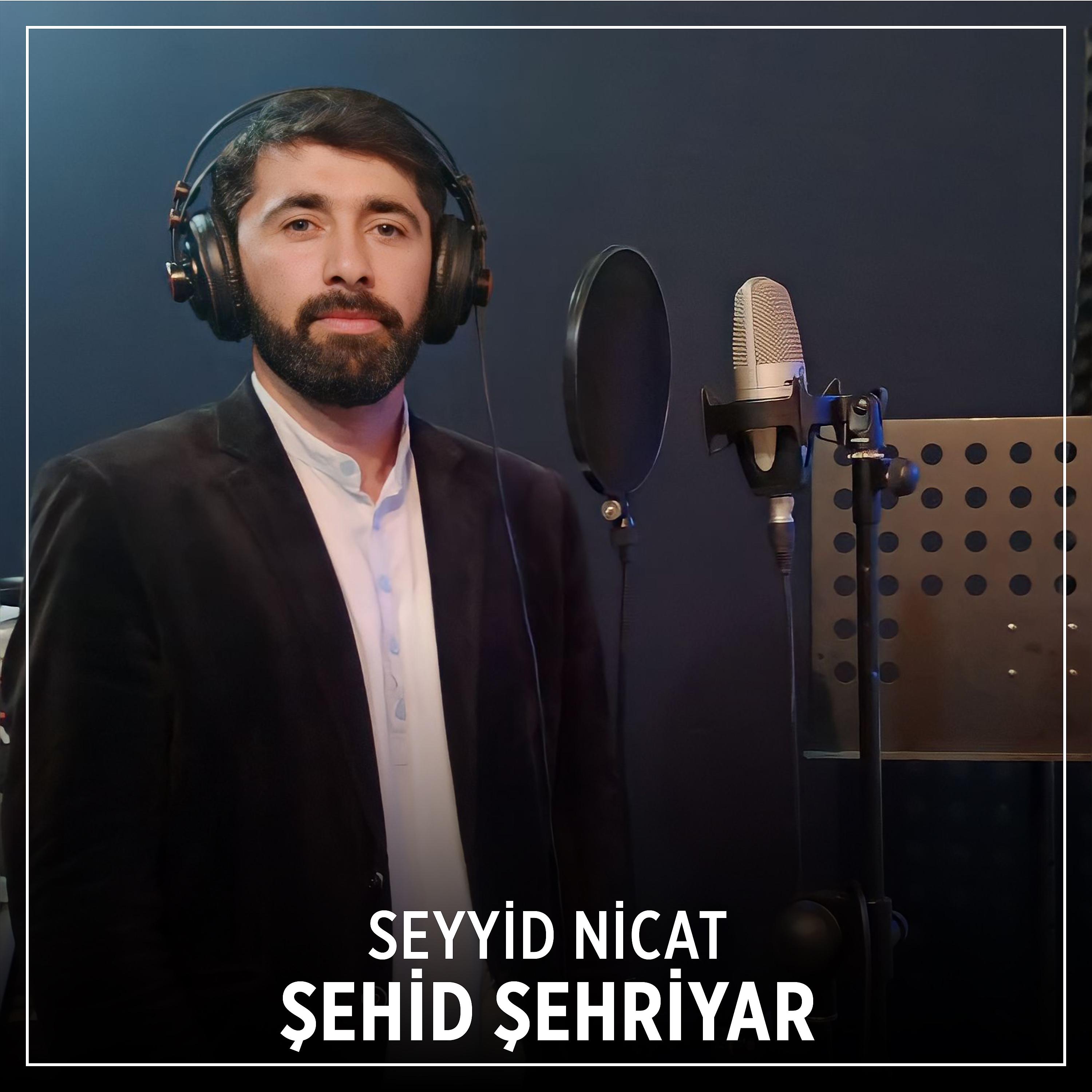 Постер альбома Şehid Şehriyar