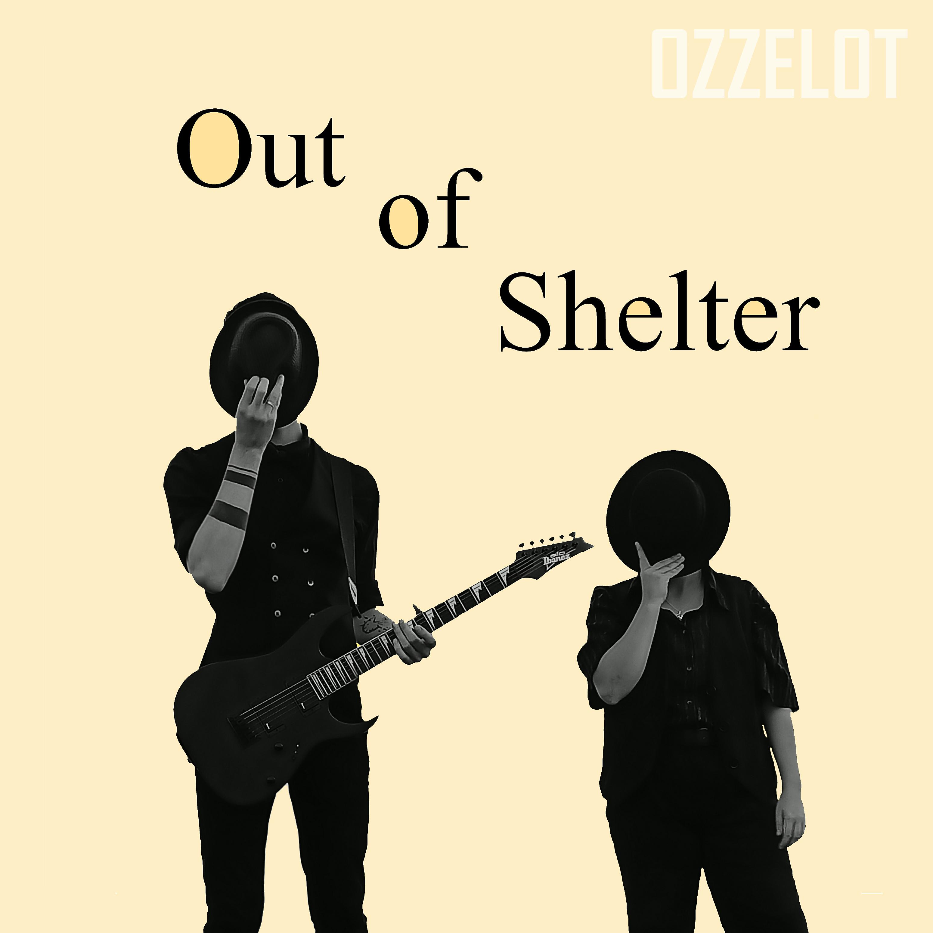 Постер альбома Out of Shelter