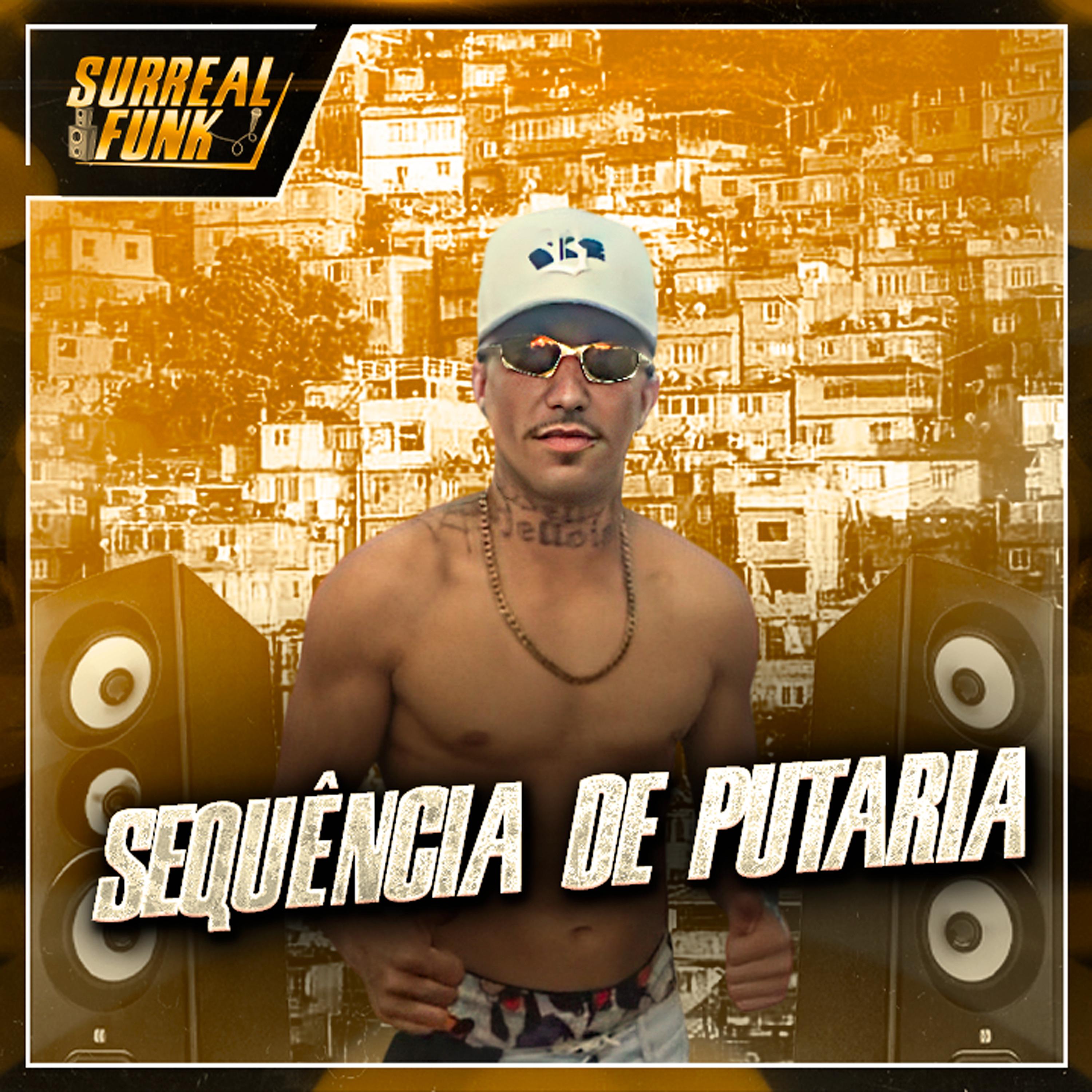 Постер альбома Sequência de Putaria