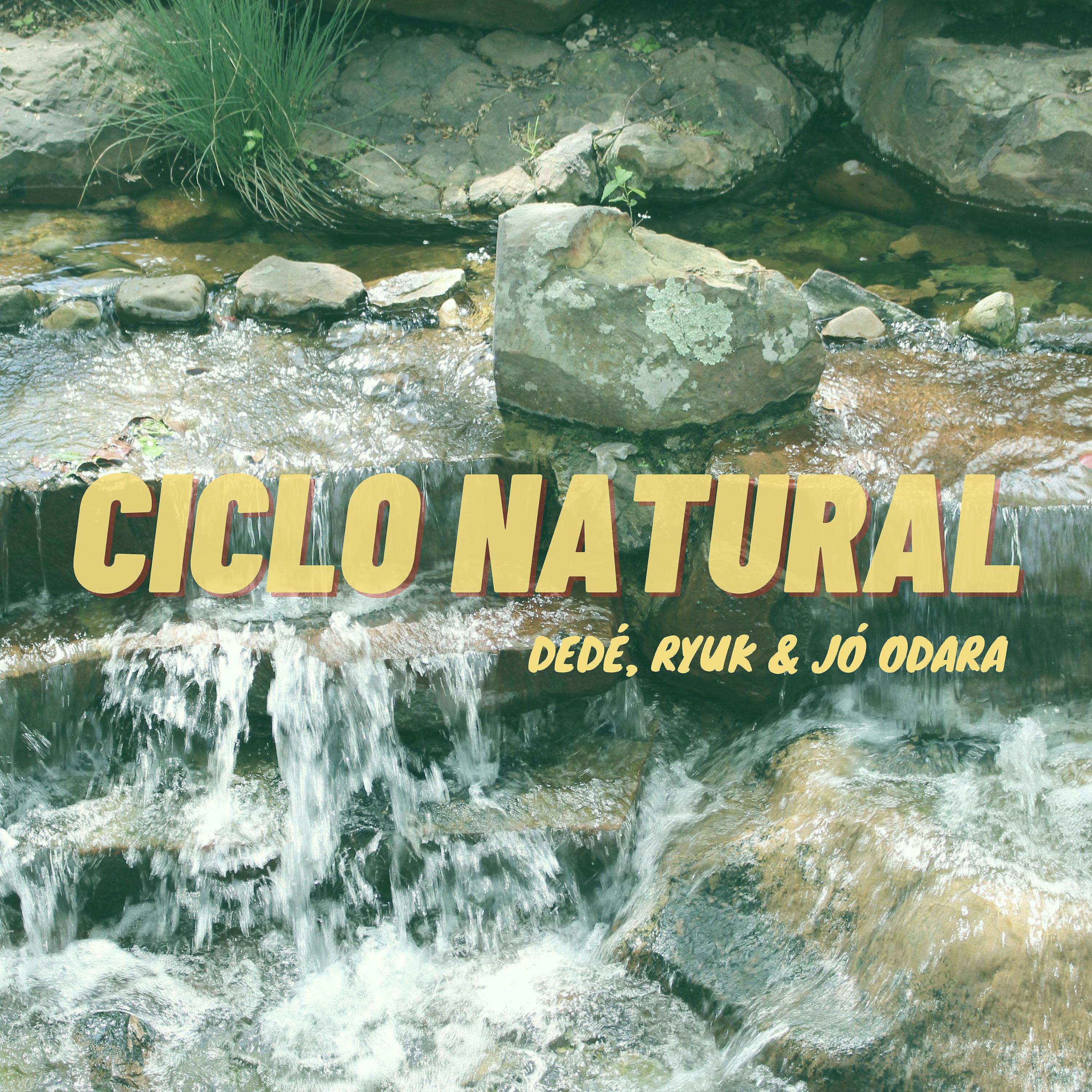 Постер альбома Ciclo Natural