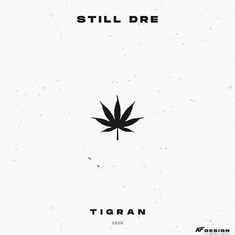 Постер альбома Still Dre