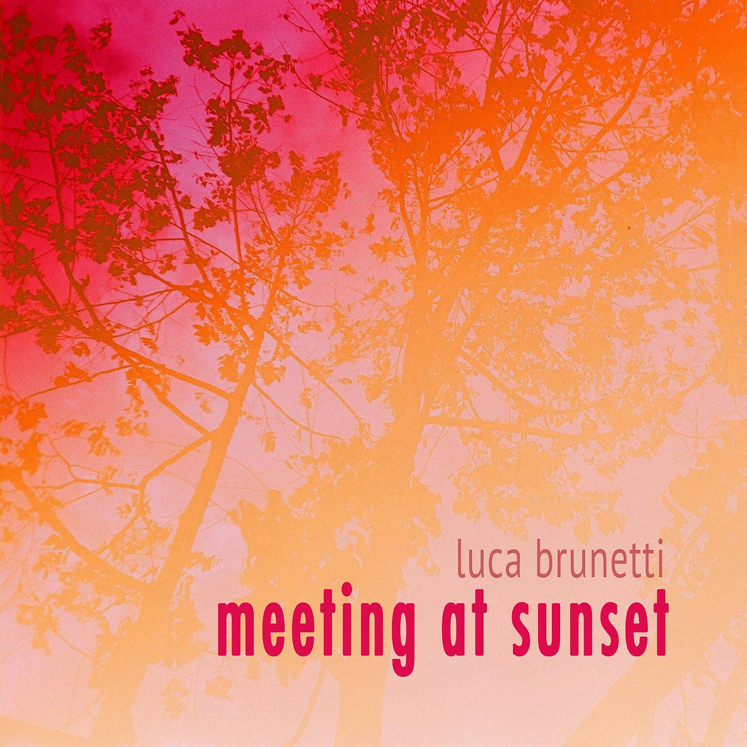 Постер альбома Meeting At Sunset