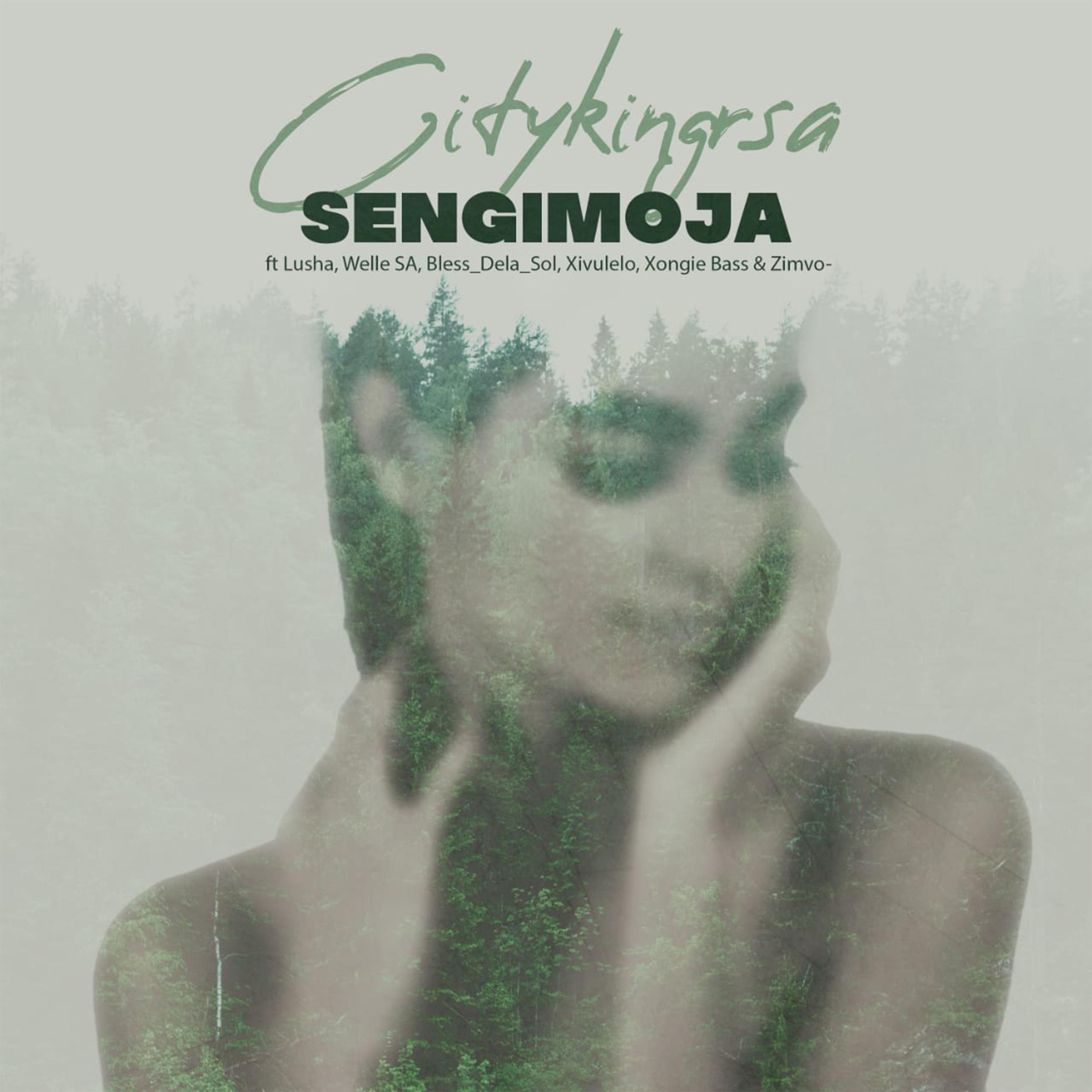Постер альбома Sengimoja
