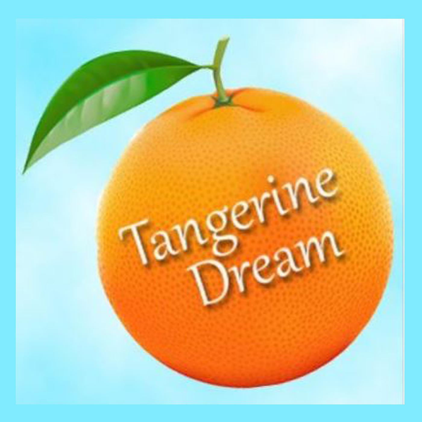 Постер альбома Tangerine Dream