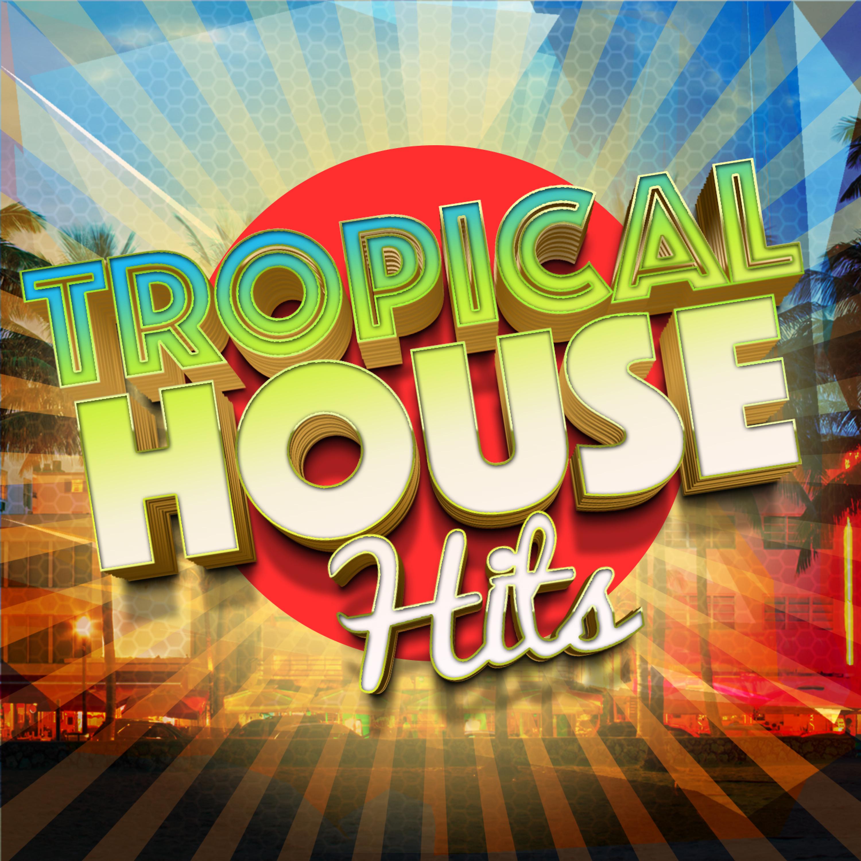 Постер альбома Tropical House Hits
