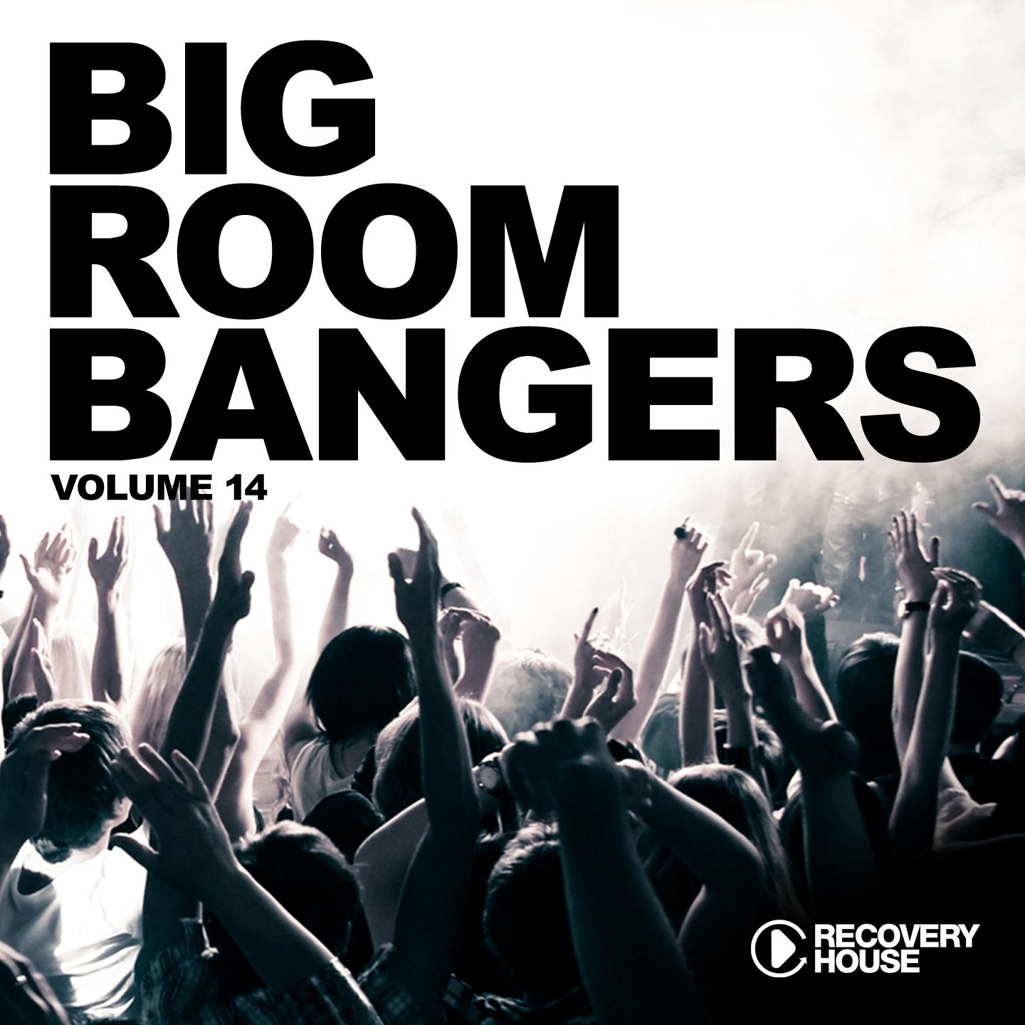 Постер альбома Big Room Bangers, Vol. 14