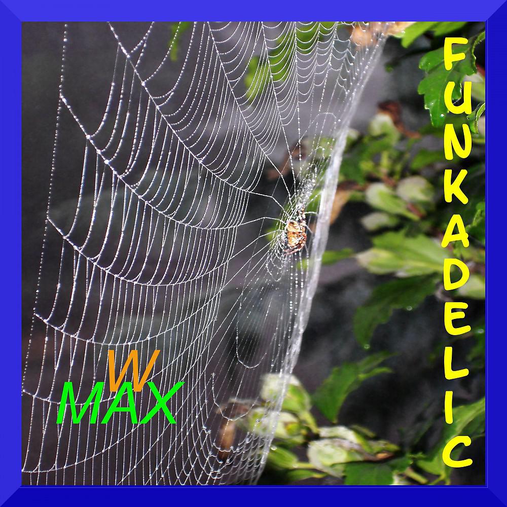 Постер альбома Funkadelic
