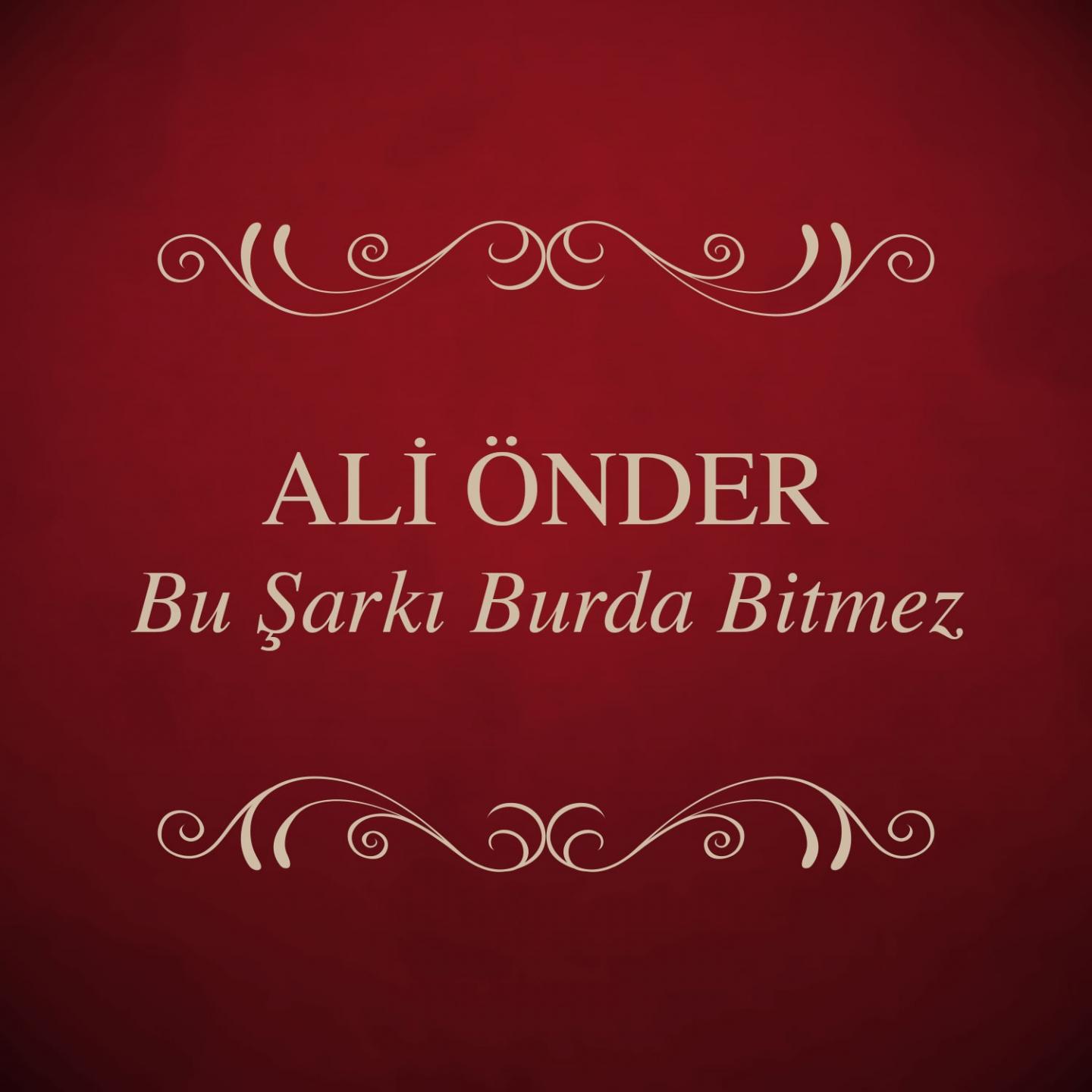 Постер альбома Bu Şarkı Burda Bitmez